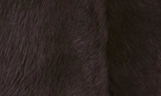 Zimmermann oc11z0425 Luminosity Shearling Jacket in Chocolate Brown Size L / US 10 / IT 46 - 6 Thumbnail