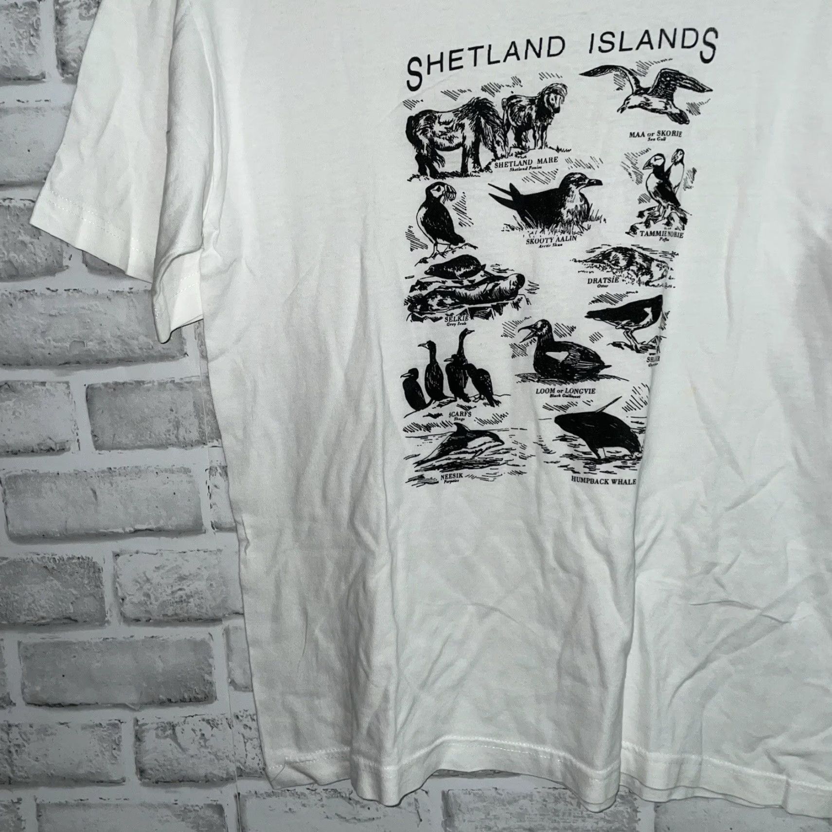 Hanes VTG Hanes Shetland Islands Animals Cotton White Graphic Tee Mens M single stitch Size US M / EU 48-50 / 2 - 3 Thumbnail