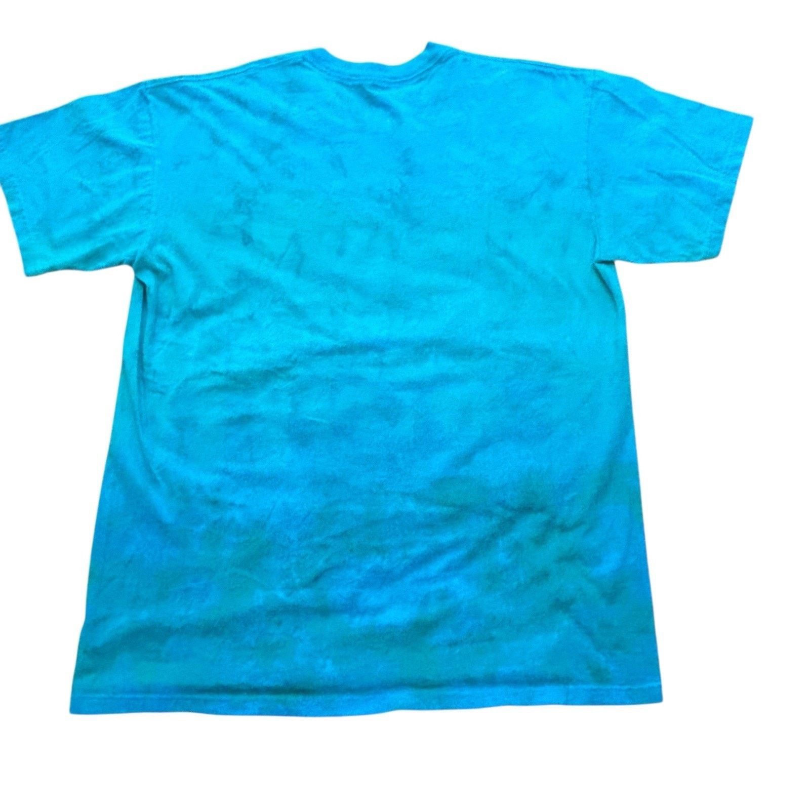 Liquid Blue Liquid Blue Sea Turtle Aquatic Nature Blue Graphic Tee Large Size US L / EU 52-54 / 3 - 4 Thumbnail