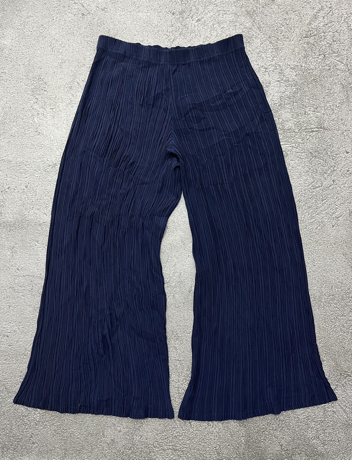2019 Pleatsme Issey Miyake Pants