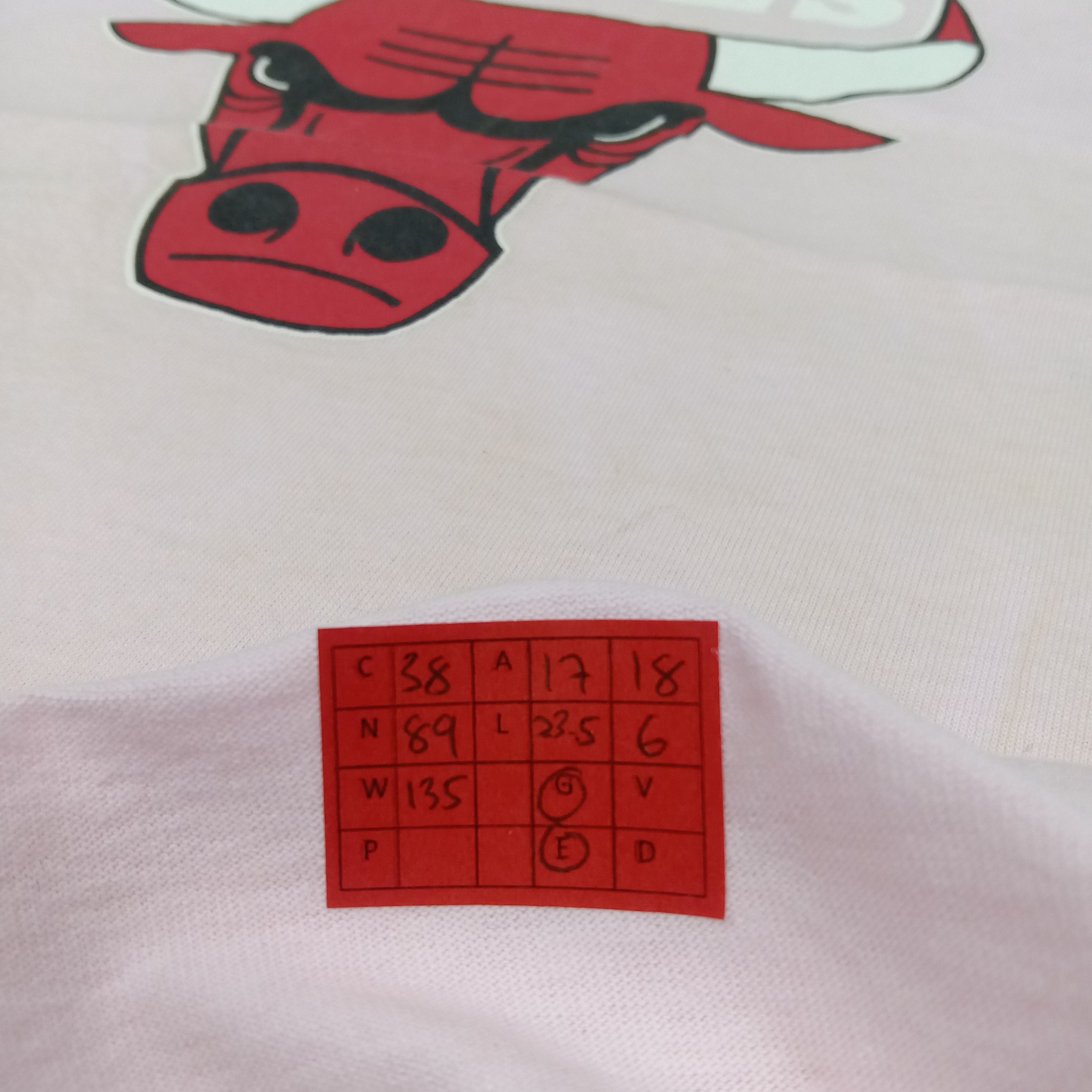 Chicago Bulls Big Logo Design NBA Team Tshirt