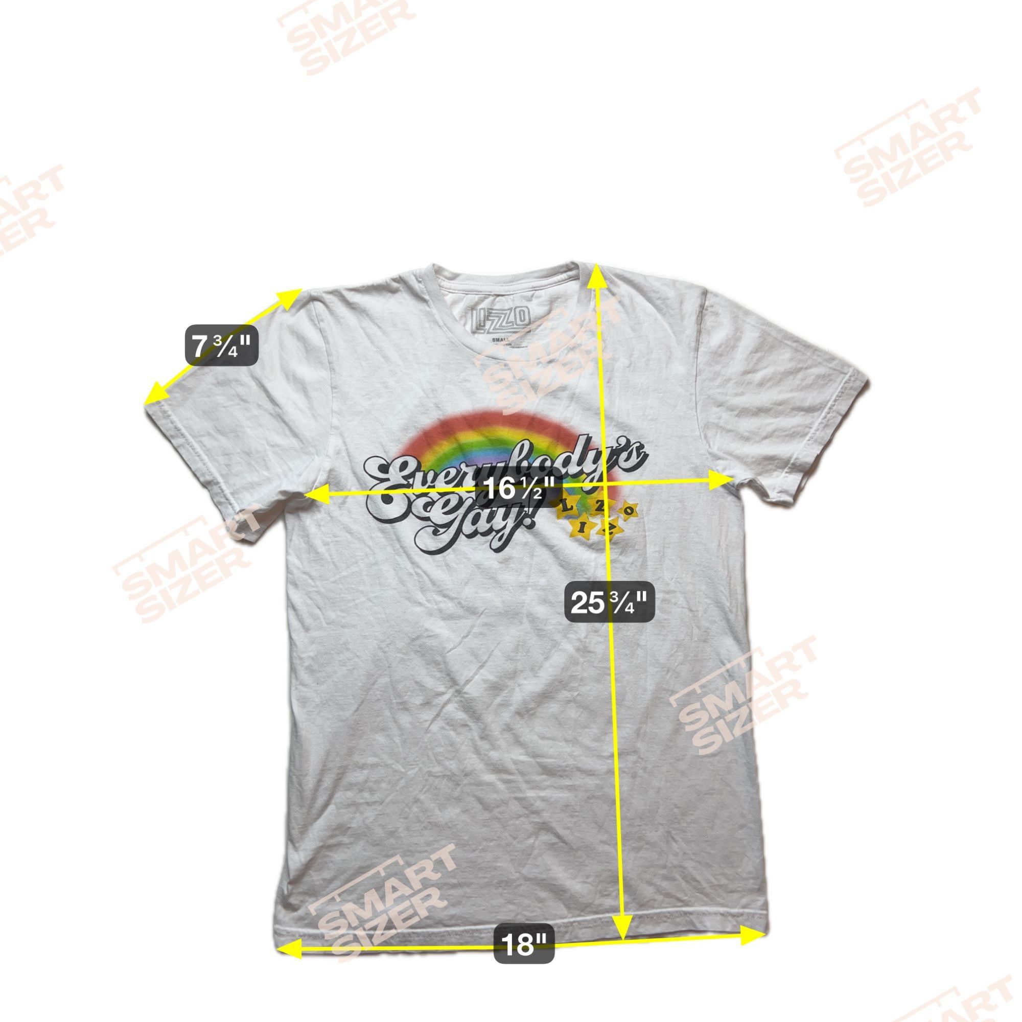 Other Lizzo Everybody's Gay! Small T-Shirt Shirt Size US S / EU 44-46 / 1 - 7 Thumbnail