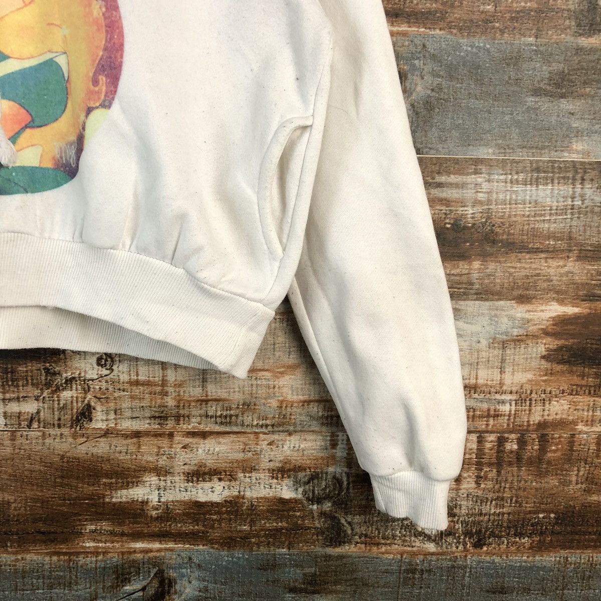 Japanese Brand DL Alice In Wonderland Darkweb A-HA croptop Hoodie #A2513 Size S / US 4 / IT 40 - 8 Thumbnail