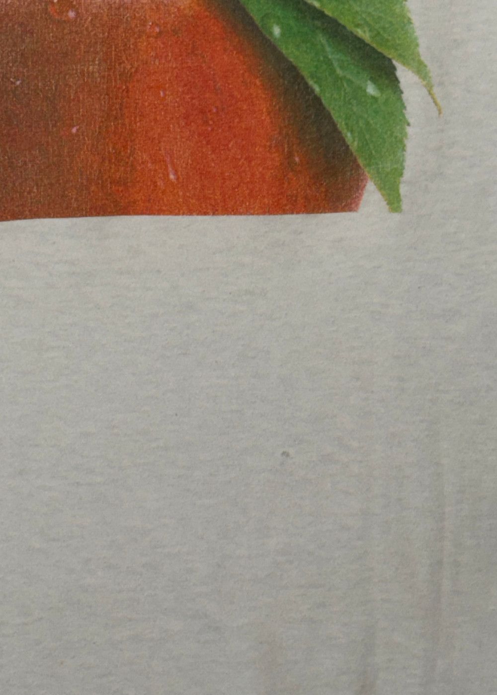 90s Pesche di Romagna IGP Italy Single Stitch Tee image 7