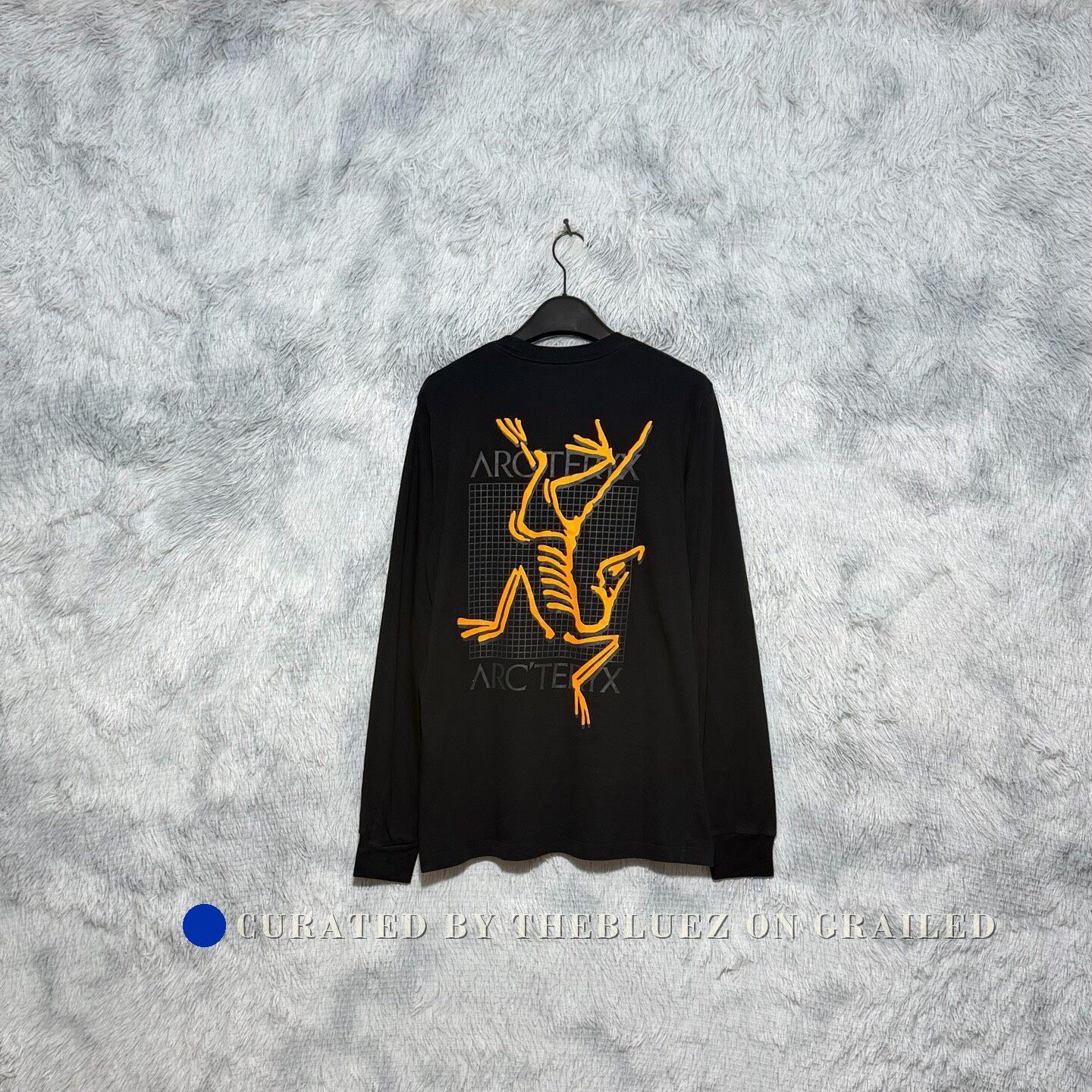 Arc'teryx Arcteryx System A Copal Long Sleeve Bird Tee Chalk | Grailed