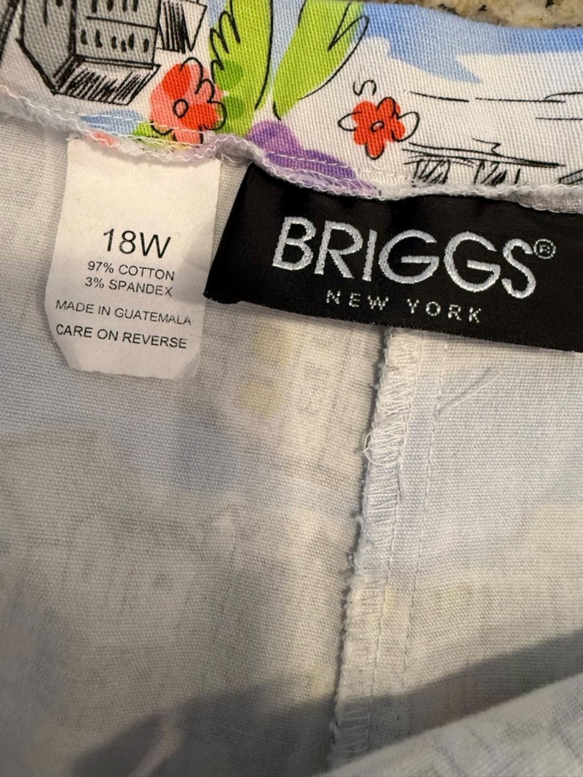 Other Briggs colorful boho floral city scene cropped pants SZ 18W Size 40" / US 18 - 5 Thumbnail
