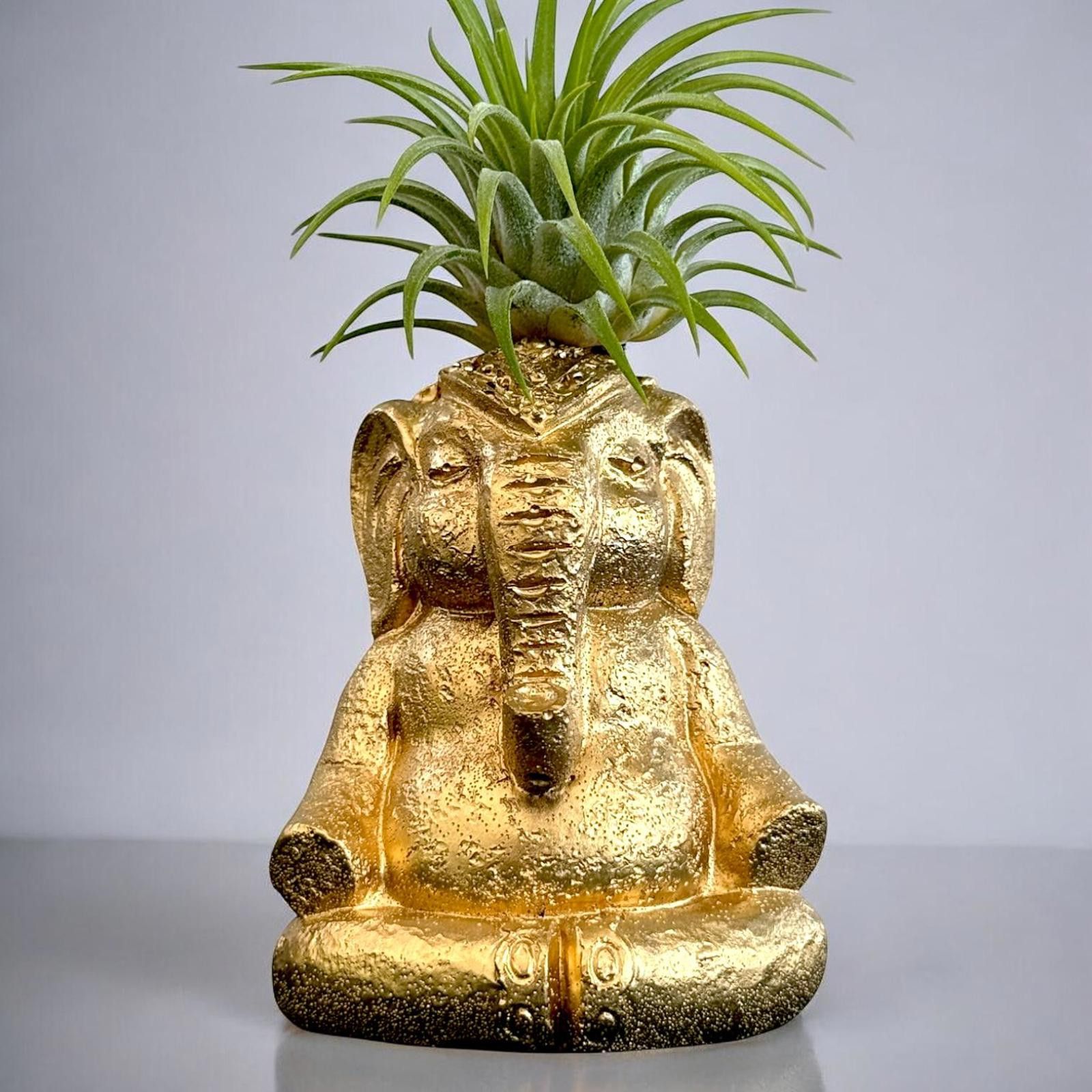 Other Meditating Elephant Planter, Yoga Gift, Zen Air Plant Holder Size ONE SIZE - 5 Thumbnail