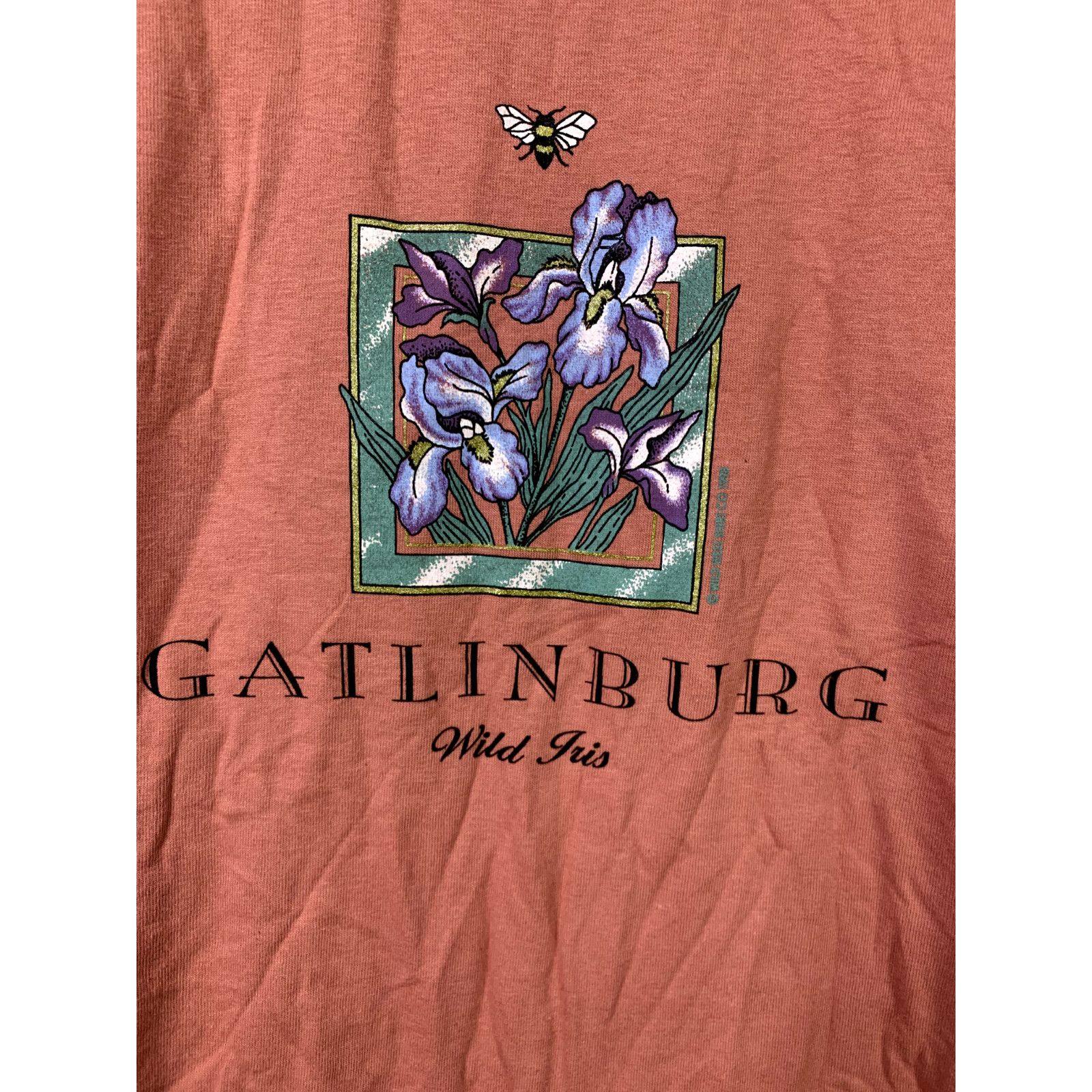 Jerzees Vintage Test Print Tee L USA Gatlinburg Maryland 90s Shirt Size US L / EU 52-54 / 3 - 3 Thumbnail