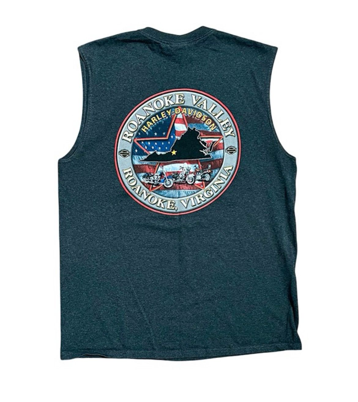 Harley Davidson Harley Davidson Roanoke Valley Virginia Sleeveless Shirt Size US L / EU 52-54 / 3 - 2 Thumbnail