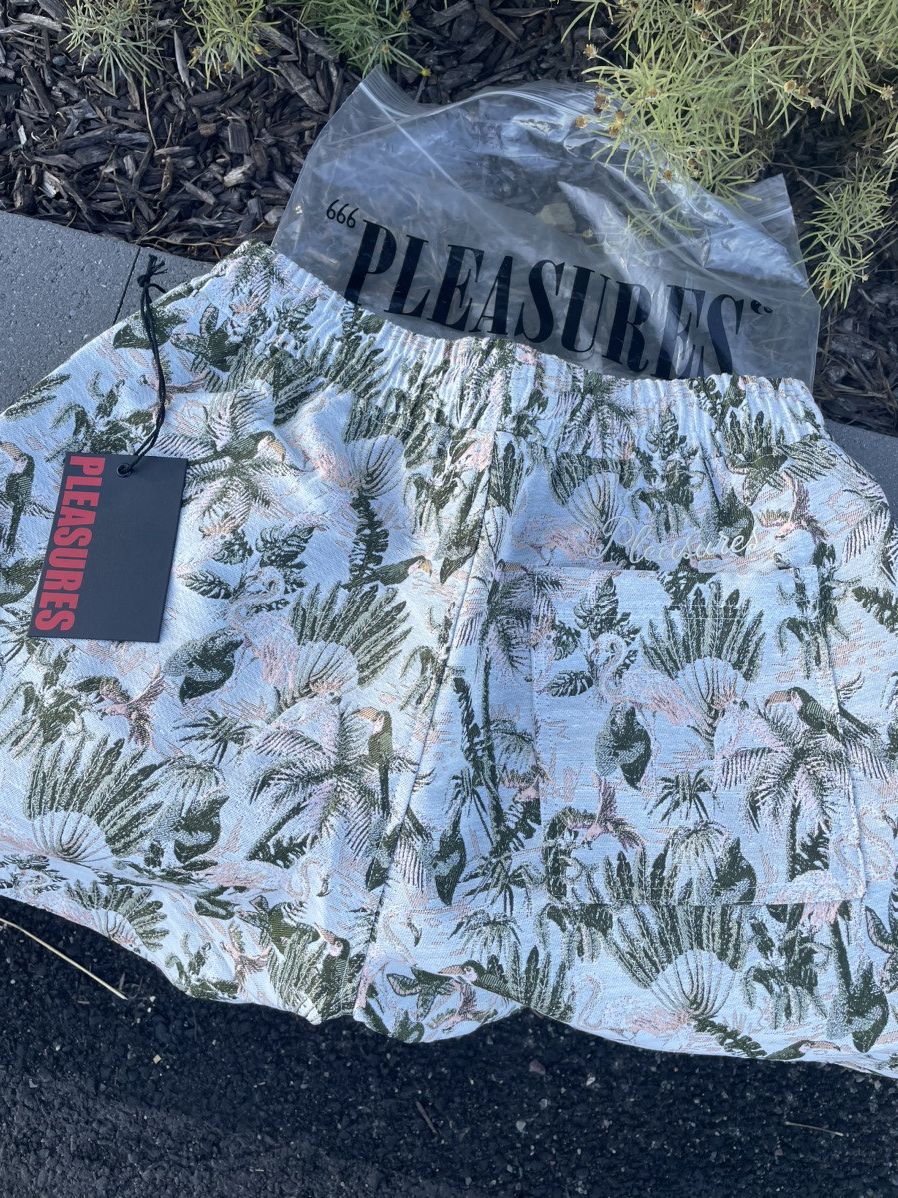 Pleasures Pleasures Bird Shorts Size US 32 / EU 48 - 2 Thumbnail