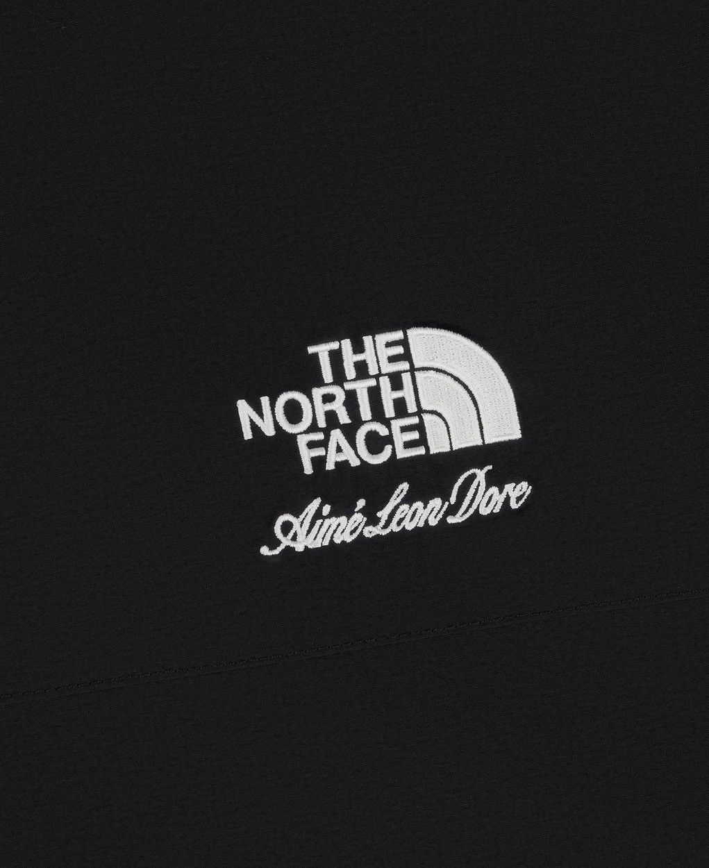 Aime Leon Dore Aime Leon Dore ALD The North Face Nylon Denali Jacket Large Size US L / EU 52-54 / 3 - 3 Thumbnail