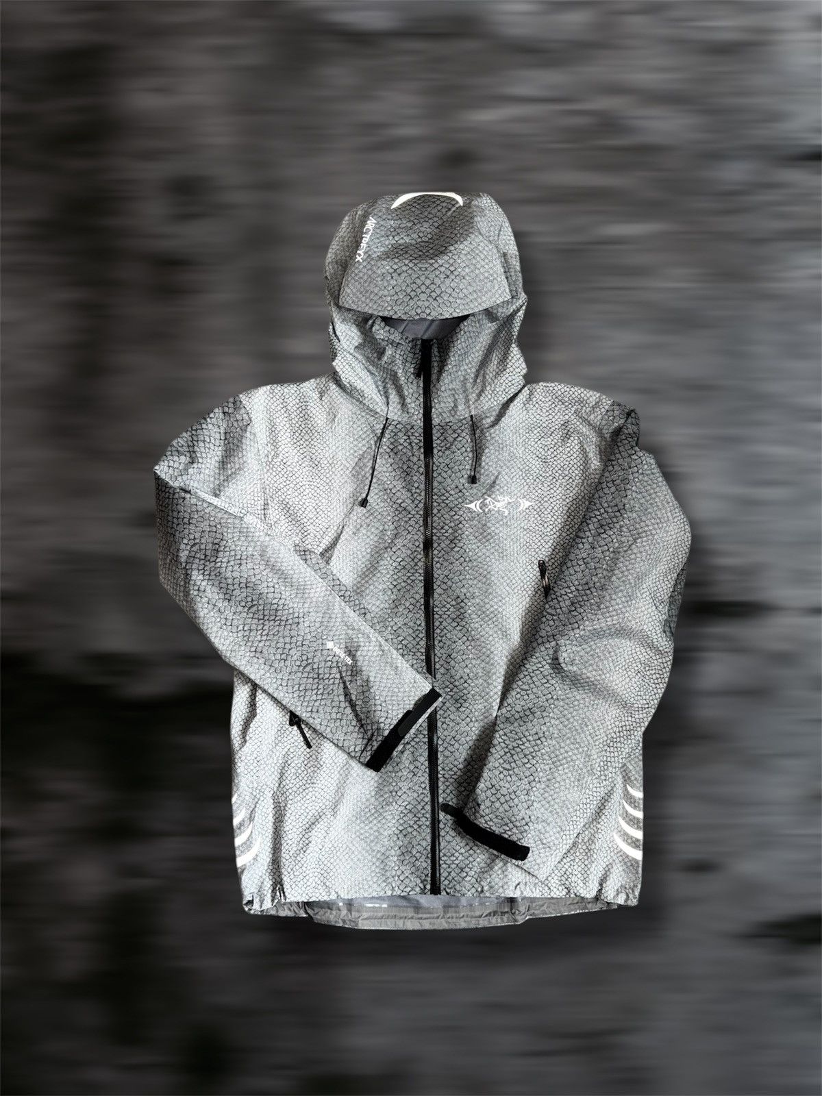 Arc'teryx Walk Gently BETA SL Jacket L