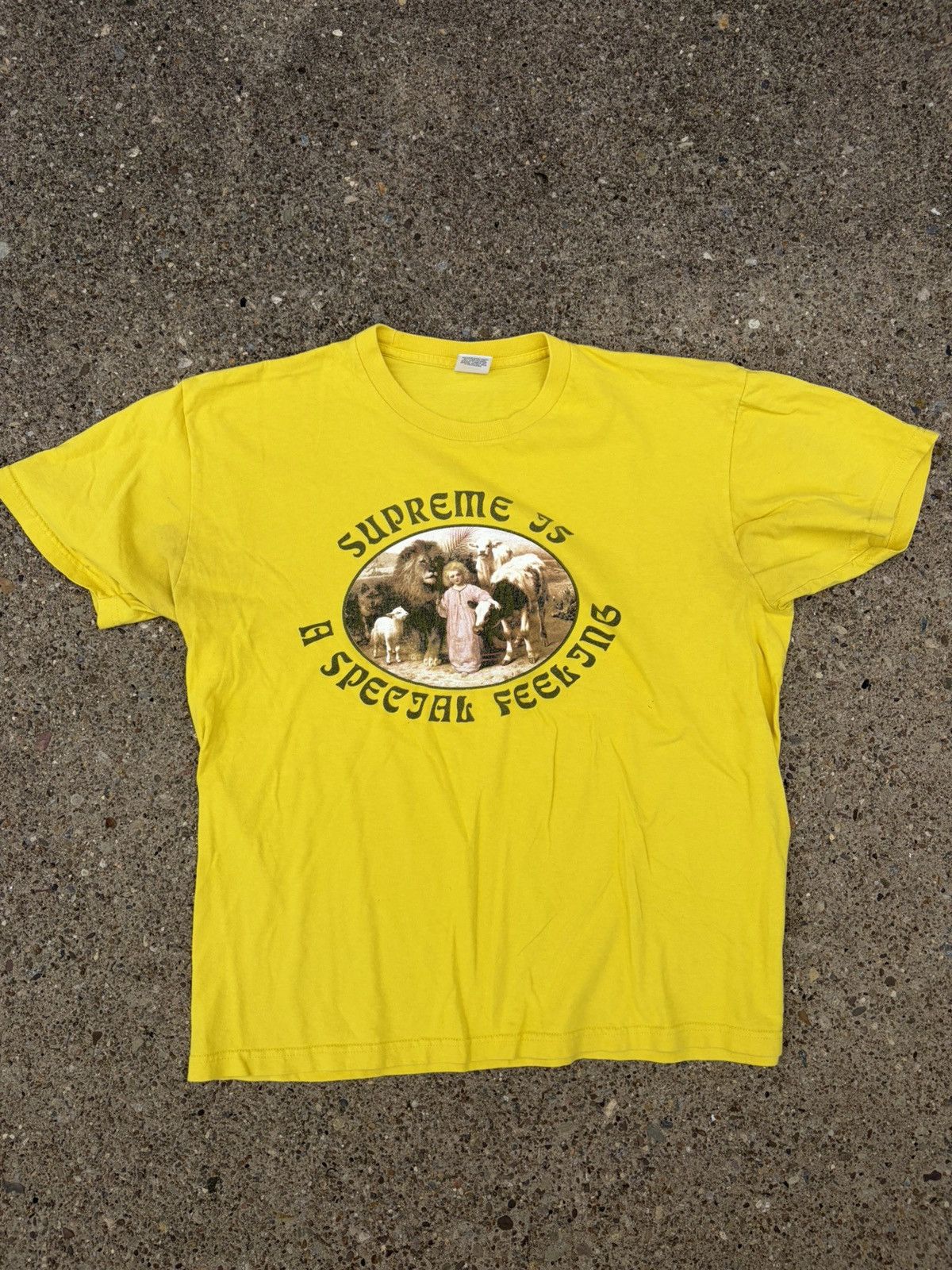 Supreme “supreme is a special feeling” graphic tee