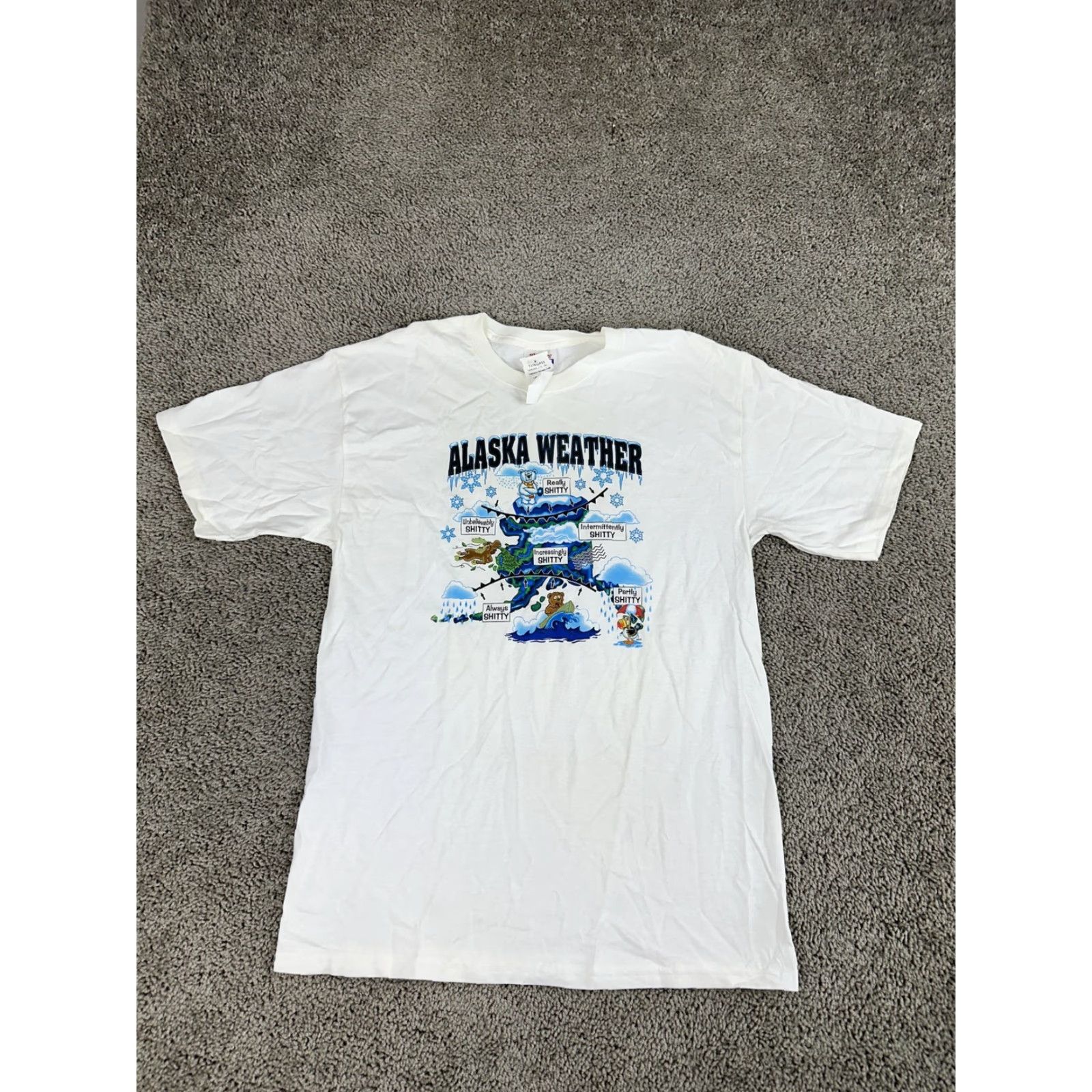 Hanes Hanes Comfort-T Alaska Weather Shirt Mens M White Graphic Tee Size US M / EU 48-50 / 2 - 2 Thumbnail