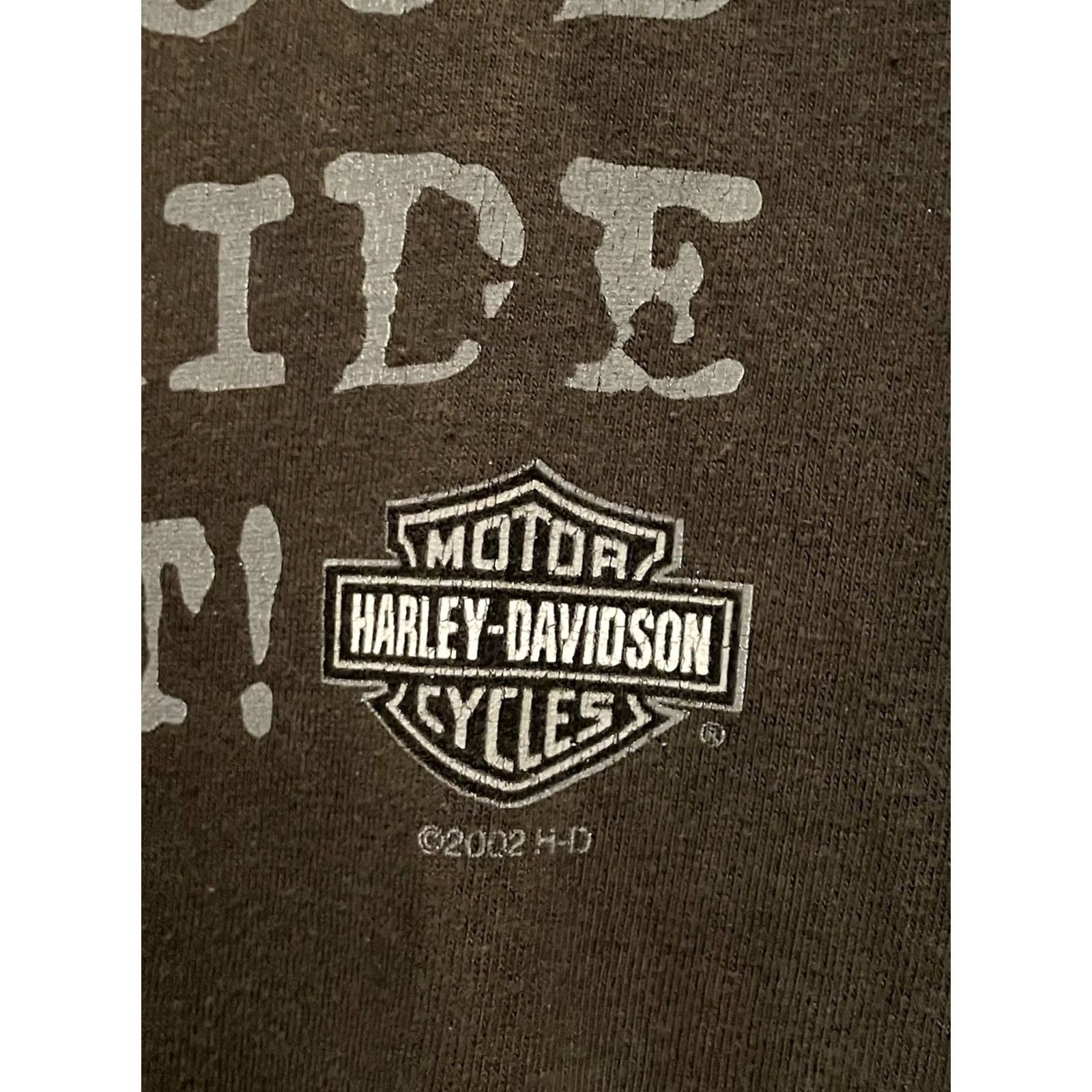 Harley Davidson Harley Davidson Vintage Shirt - Chicago XL Green - 2002 Size US XL / EU 56 / 4 - 3 Thumbnail