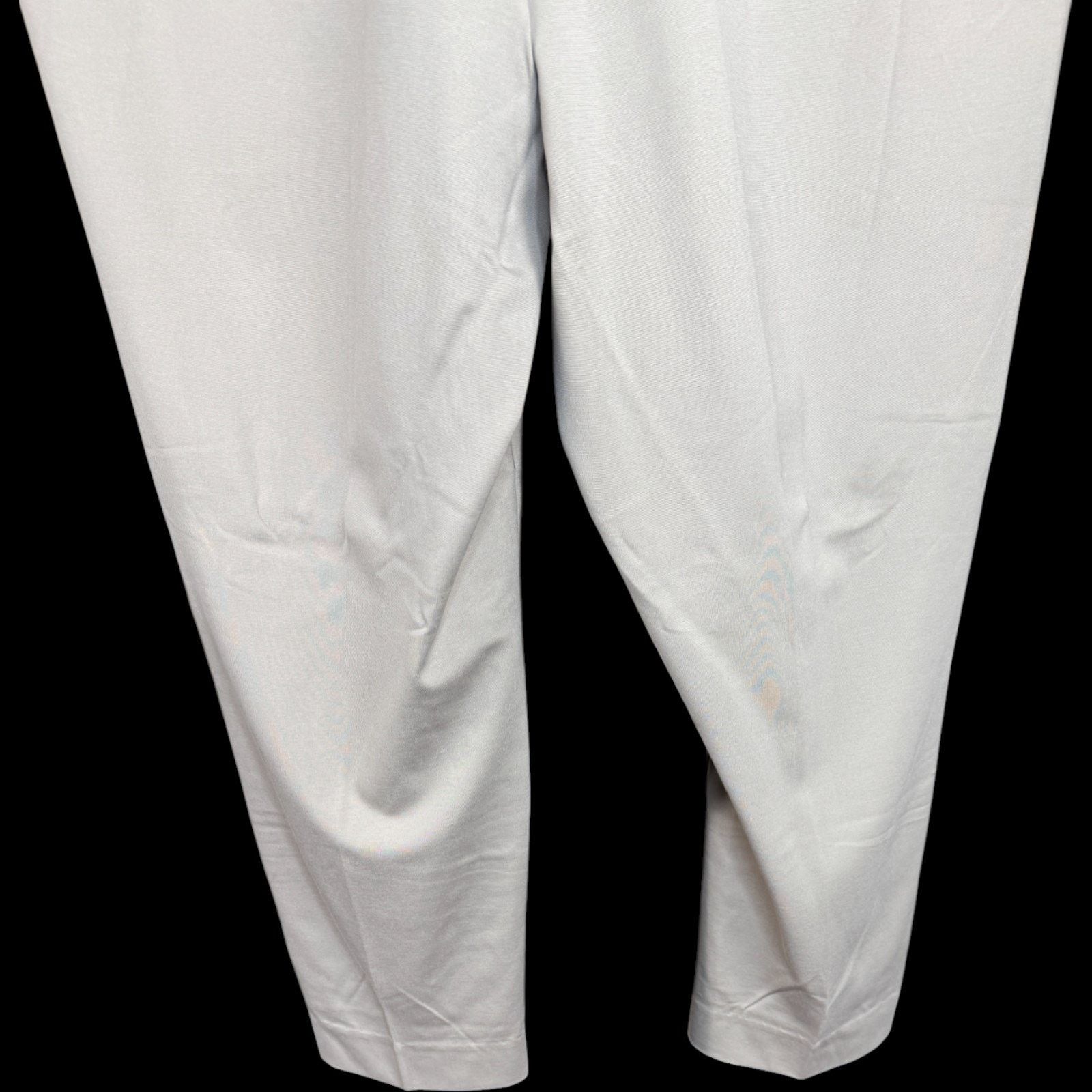 Other SUSAN GRAVER Everyday Slim Leg Pants Beige Stretch 3X NWT Size 36" / US 14 / IT 50 - 3 Thumbnail