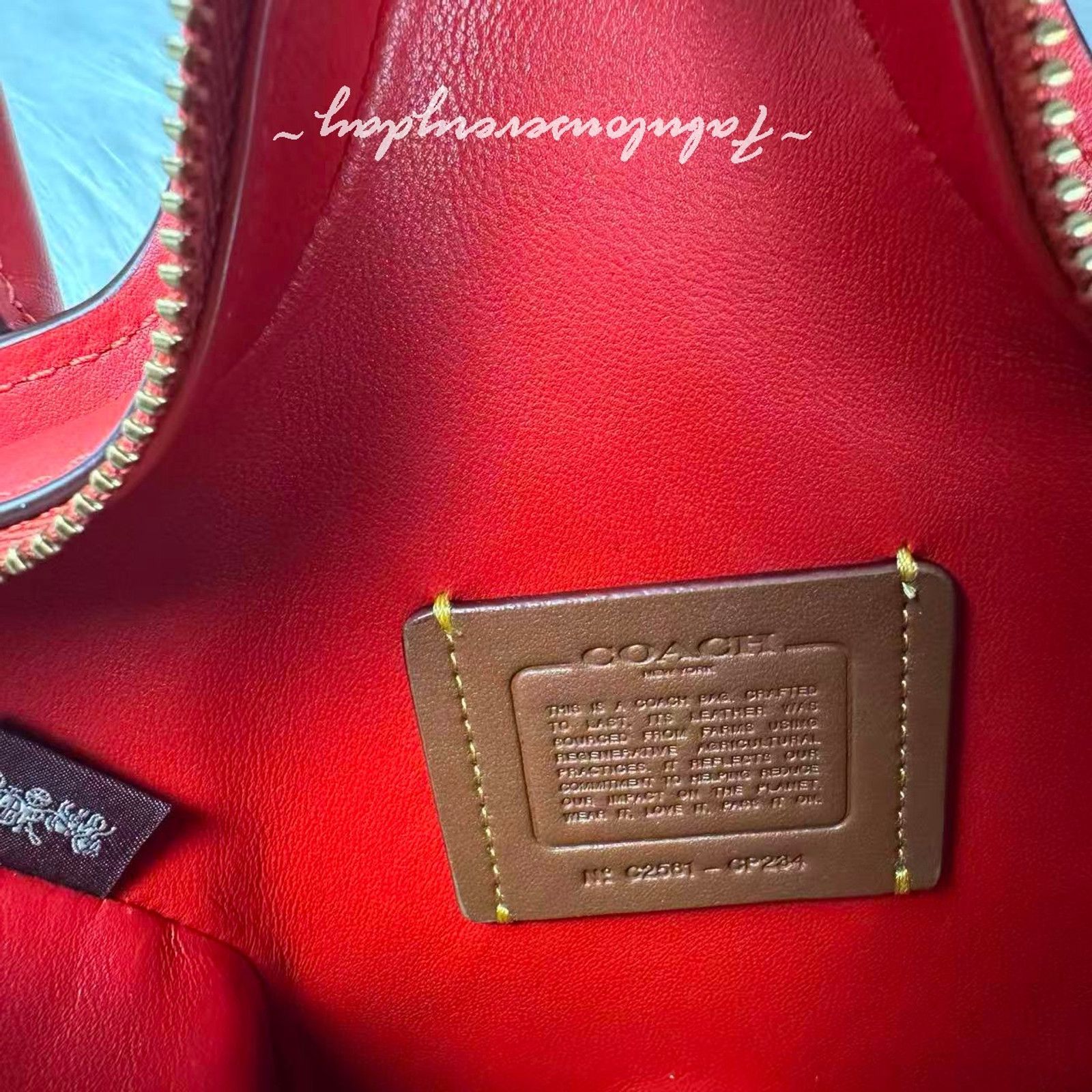 Coach Coach Star Bag Crossbody In Regenerative Leather/Gold/ Red Size ONE SIZE - 8 Thumbnail