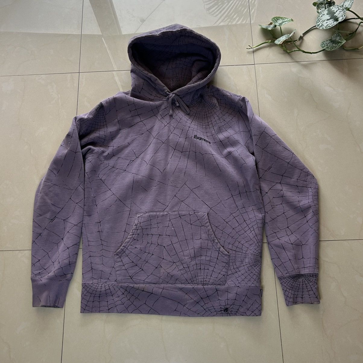 Supreme Spider Web Hoodie | Grailed