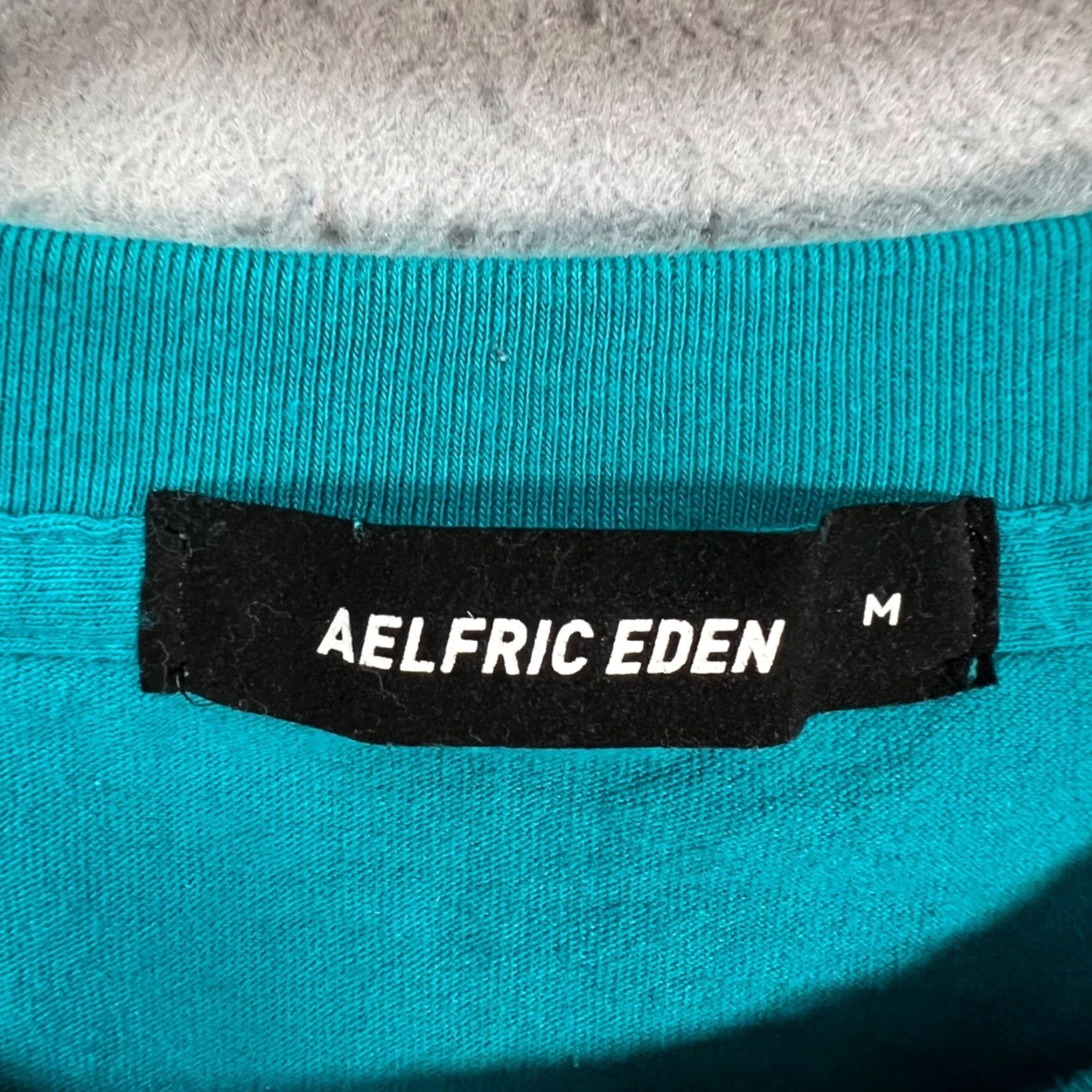 Vintage Aelfric Eden Mens T-Shirt Graphic Print Crew Neck Short Sleeve Teal Blue 2010-2019 Regular Size M Shirt Mens Size US M / EU 48-50 / 2 - 3 Thumbnail