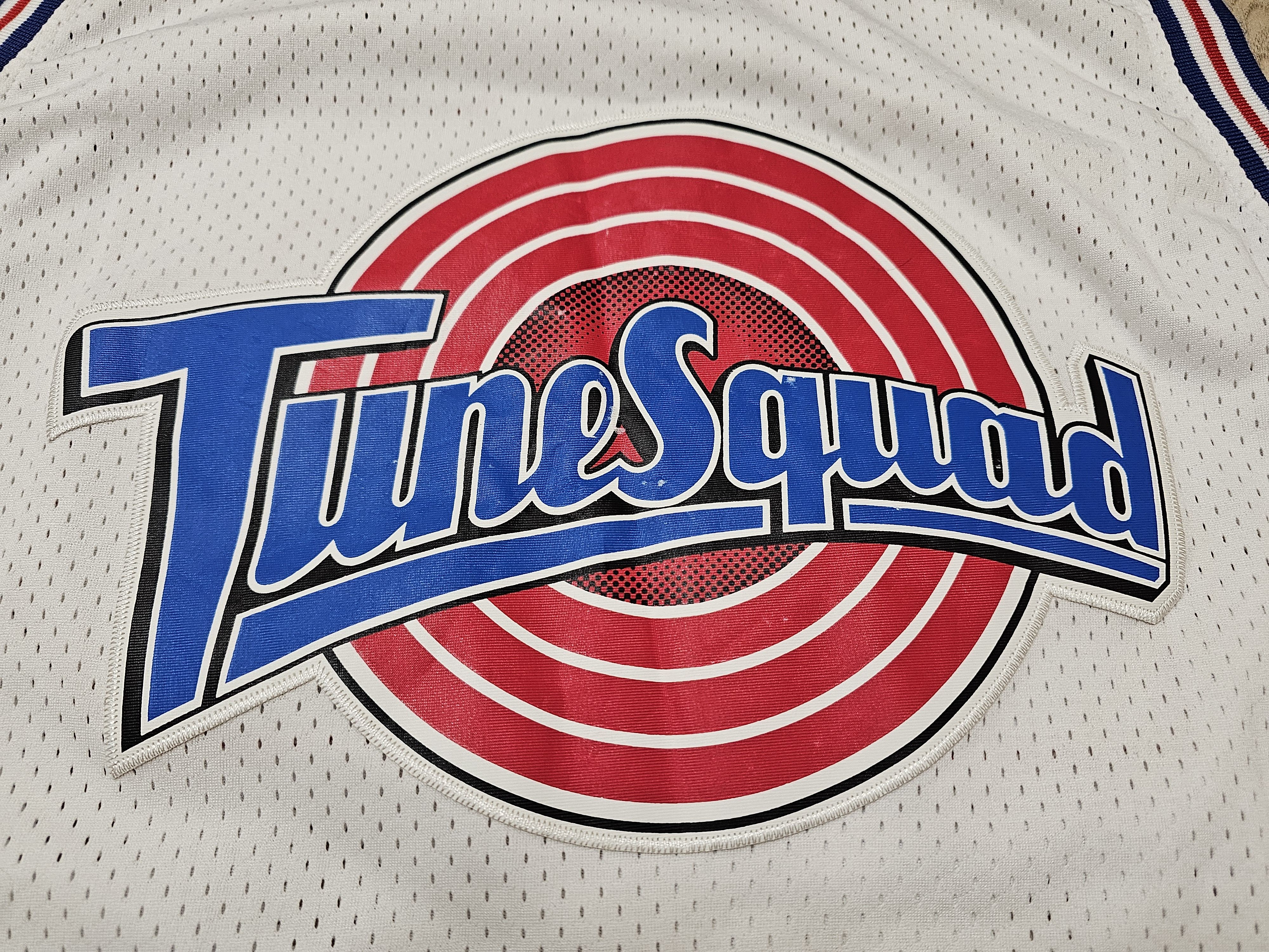 Champion VINTAGE MICHAEL JORDAN TUNE SQUAD BASKETBALL SPACE JAM Size US M / EU 48-50 / 2 - 4 Thumbnail