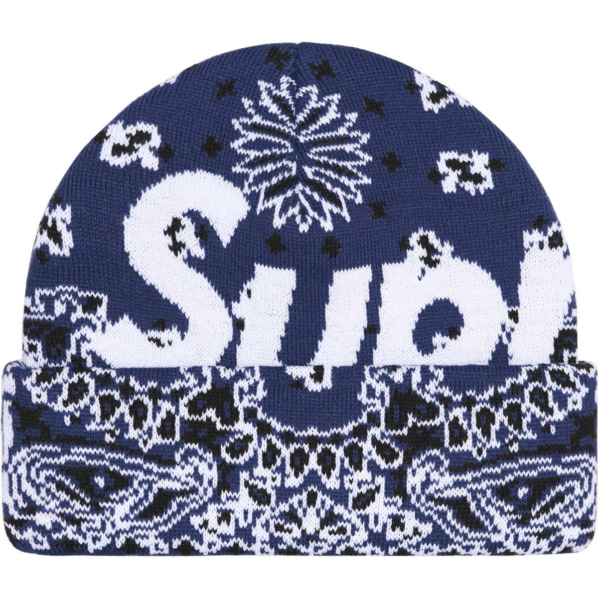Supreme Big Logo Beanie | Grailed
