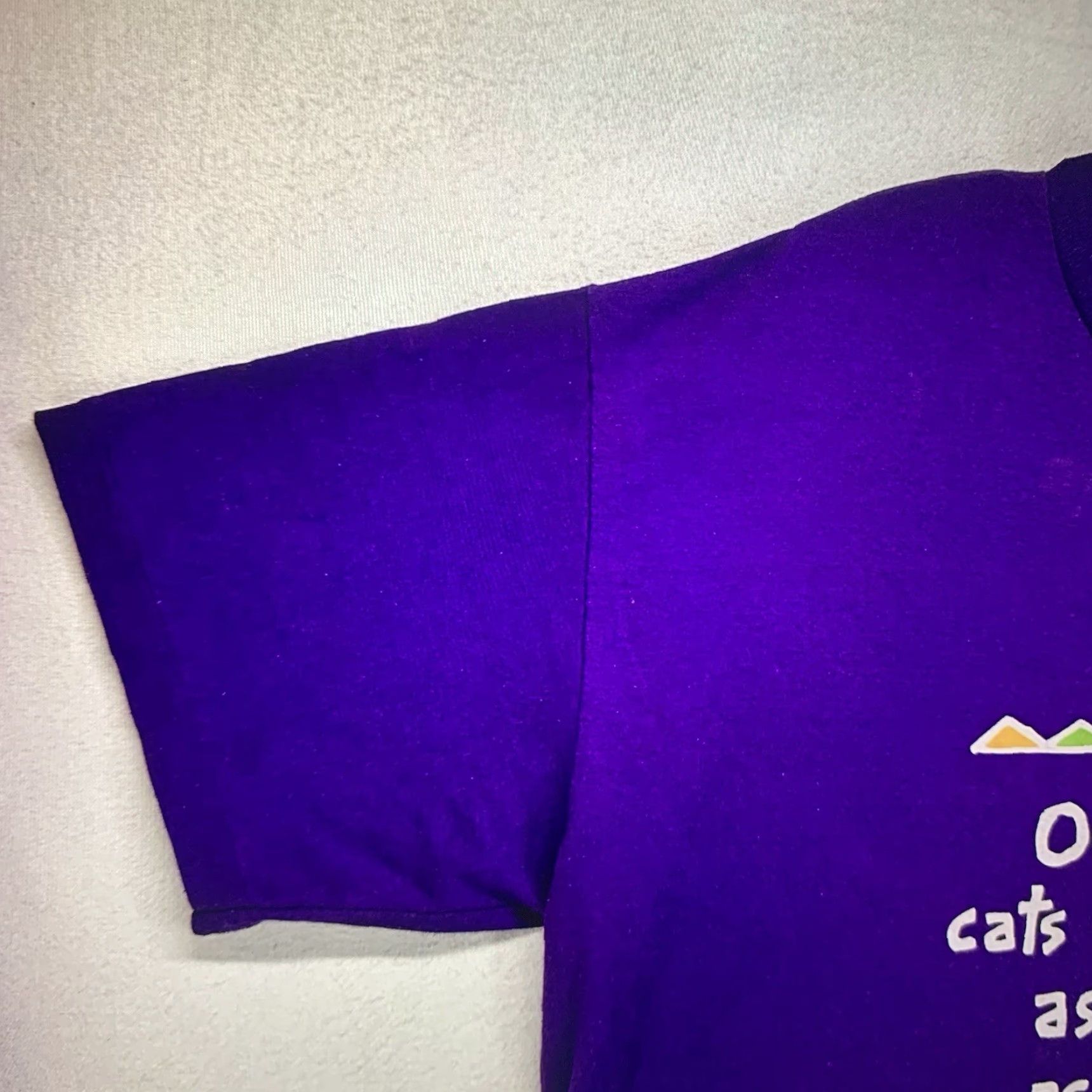 Vintage VINTAGE Hallmark T-Shirt Unisex Adults XL Purple Black Cat Halloween 90s Humor Graphic Print Short Sleeve Crew Neck Size US XL / EU 56 / 4 - 6 Thumbnail