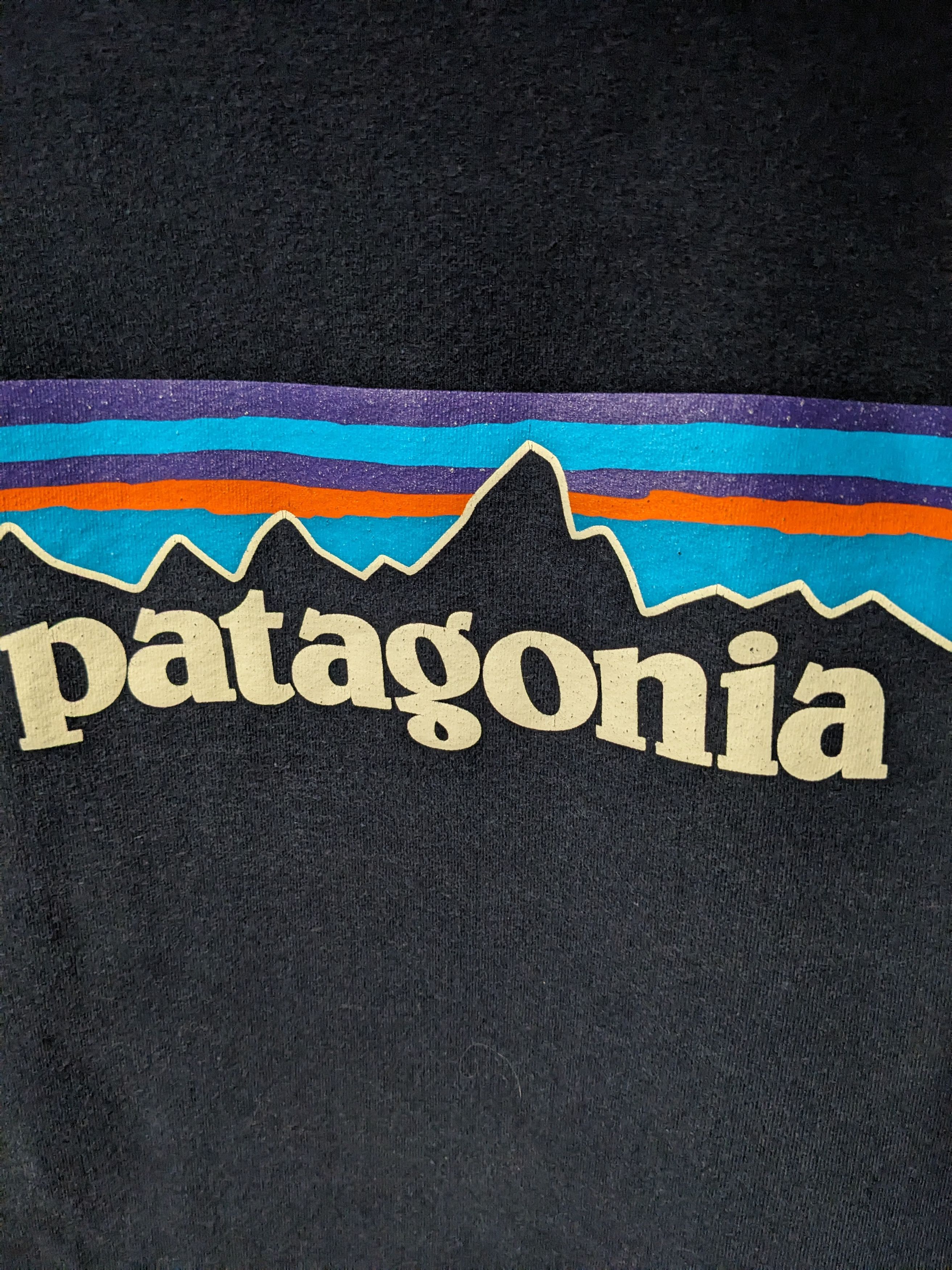 Designer × Patagonia Patagonia Logo Blue Large Regular Fit Uprisal Hoody Size US L / EU 52-54 / 3 - 2 Thumbnail