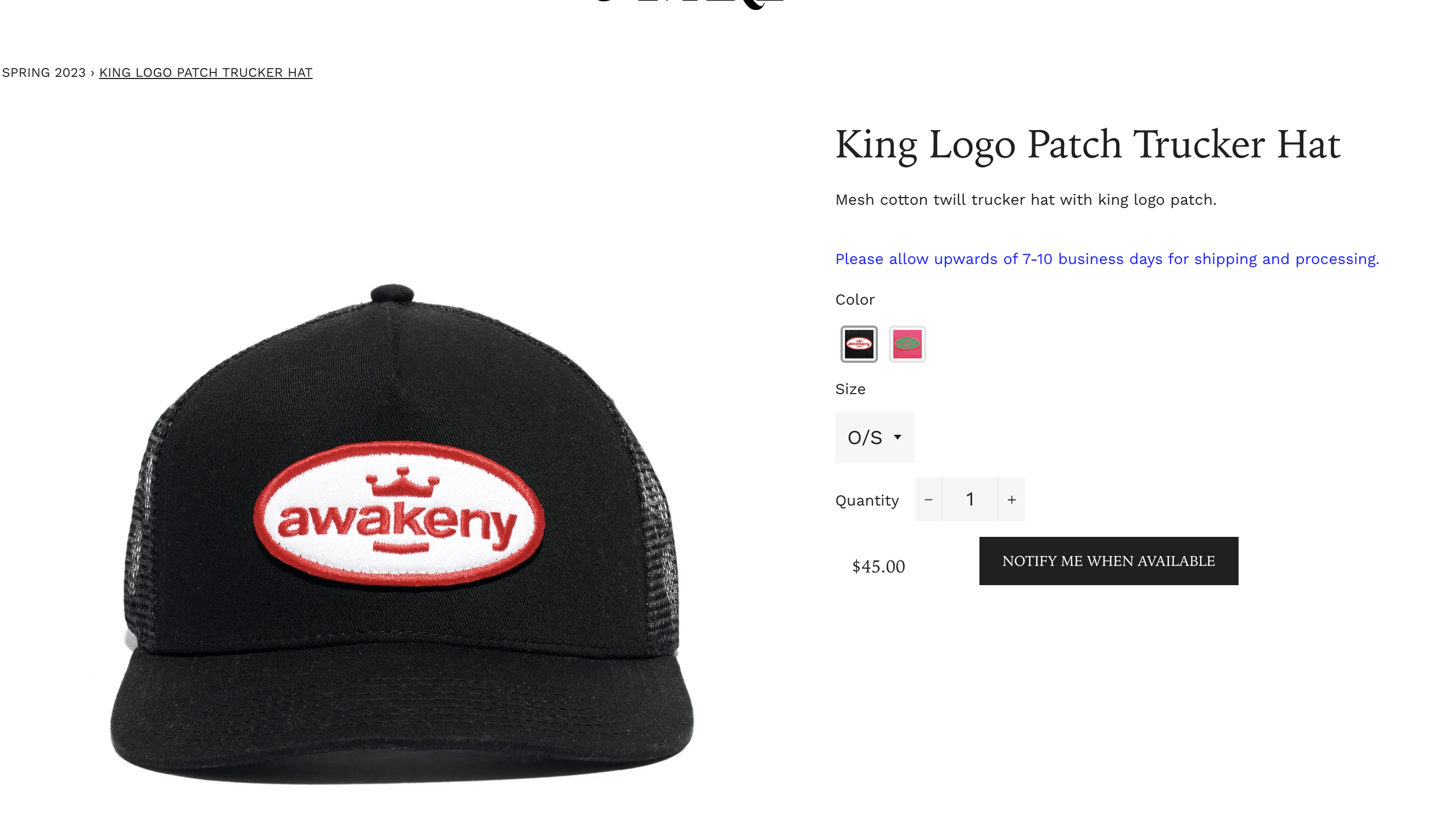Awake NY Awake King Logo Patch Trucker Hat Size ONE SIZE - 6 Thumbnail