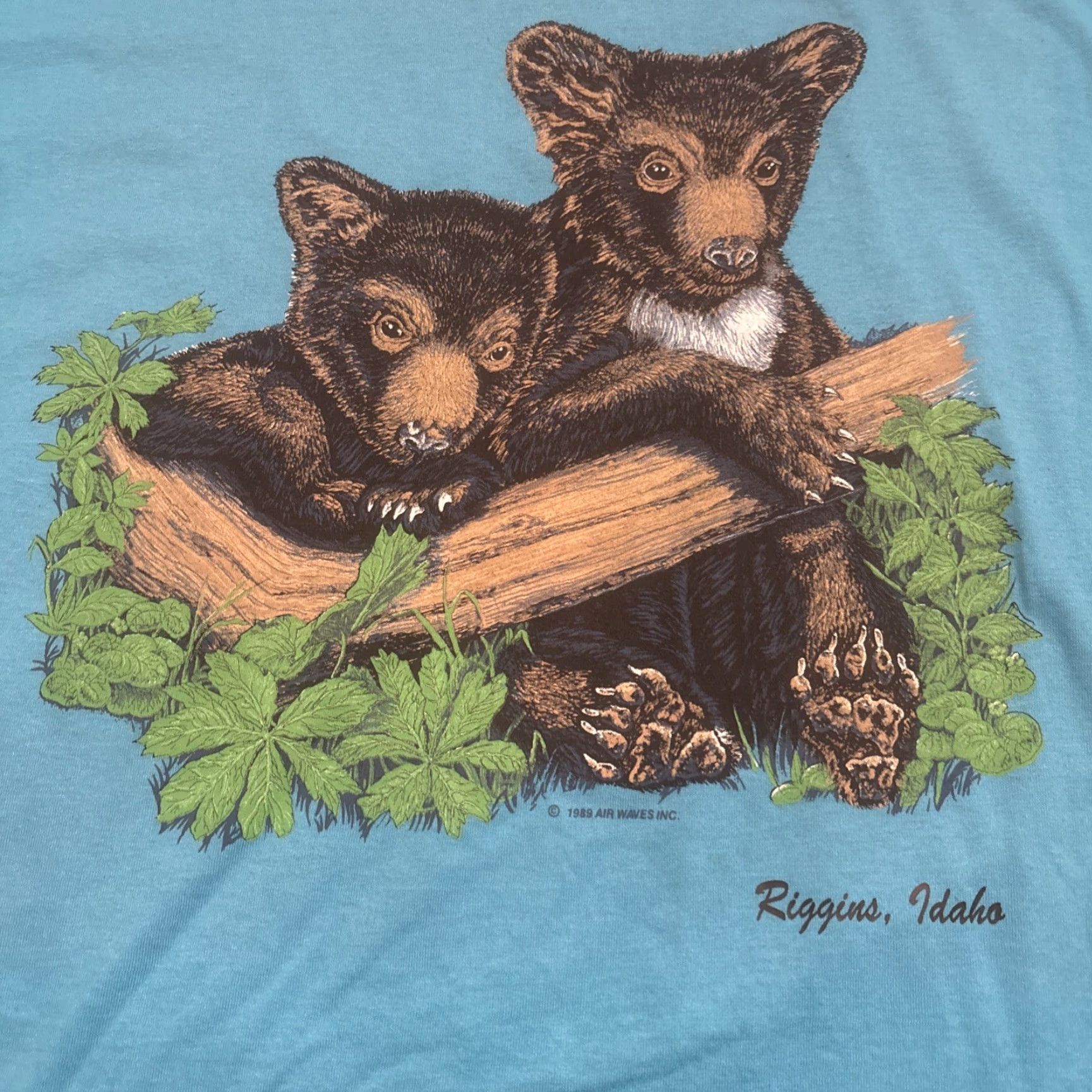 Vintage VINTAGE Screen Stars T-Shirt Brown Bear Cub Air Waves 80s Idaho XL Teal Mens X-Large Size US XL / EU 56 / 4 - 2 Thumbnail