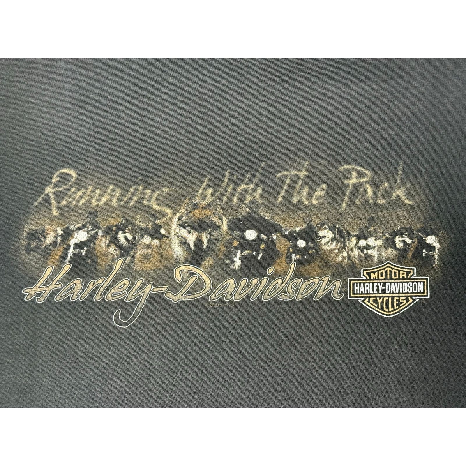Harley Davidson × Vintage Vintage Y2K Harley Davidson San Diego California T-shirt XL Size US XL / EU 56 / 4 - 4 Thumbnail