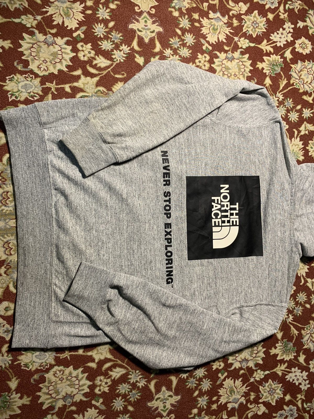 The North Face THE NORTH FACE HOODIE BIG BASIC LOGO Size US M / EU 48-50 / 2 - 8 Thumbnail