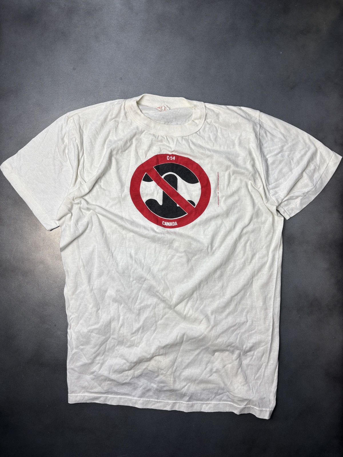 Vintage Vintage Political Protest Tee Kinda Sus Butt Sex Gay? Or No? Size US L / EU 52-54 / 3 - 8 Thumbnail