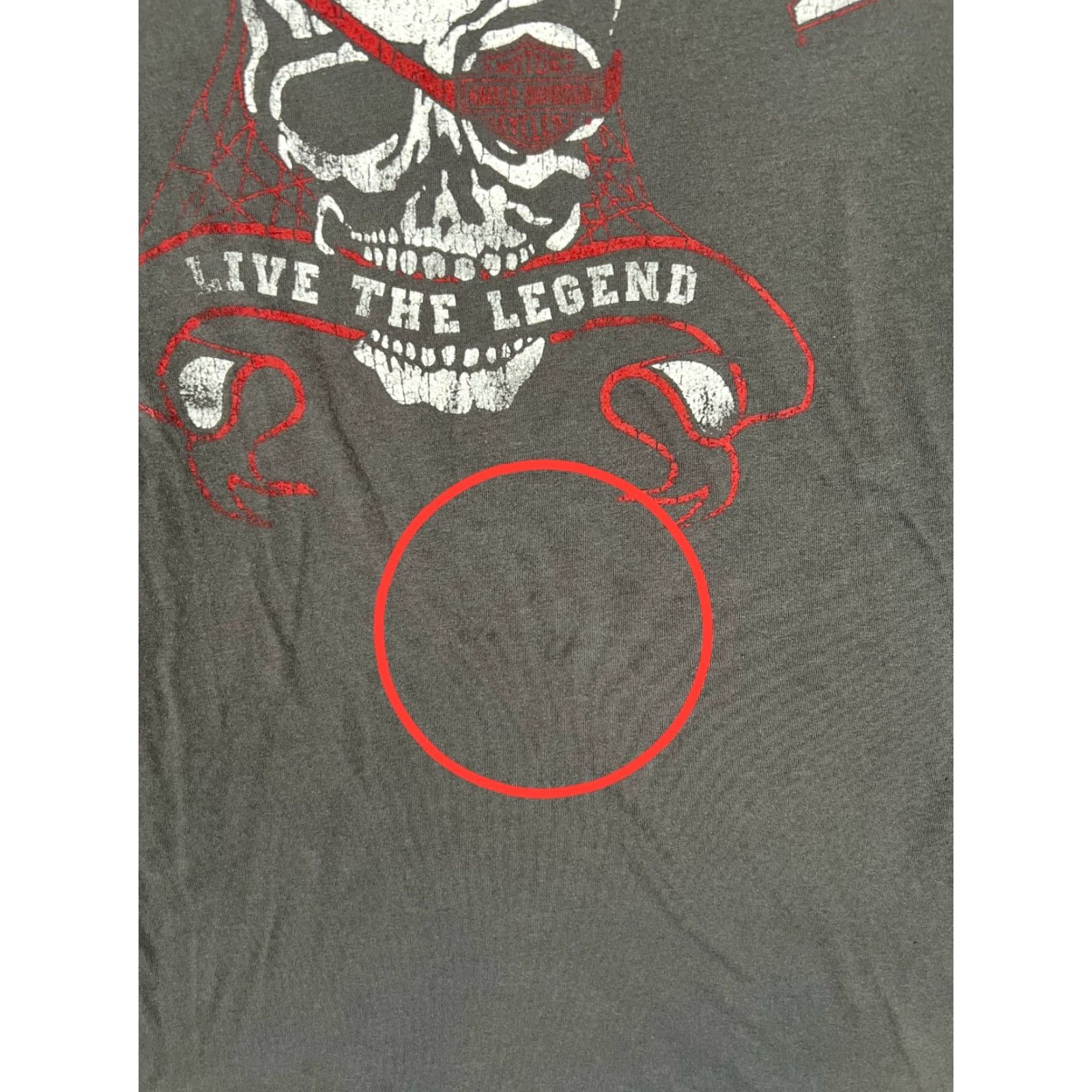 Harley Davidson VINTAGE Harley-Davidson T-Shirt Size L/XL Gray Live The Legend Skull Pirate Men Short Sleeve Crew Neck 90s Biker Motorcycle Graphic Print Double-Sided Size US L / EU 52-54 / 3 - 3 Thumbnail