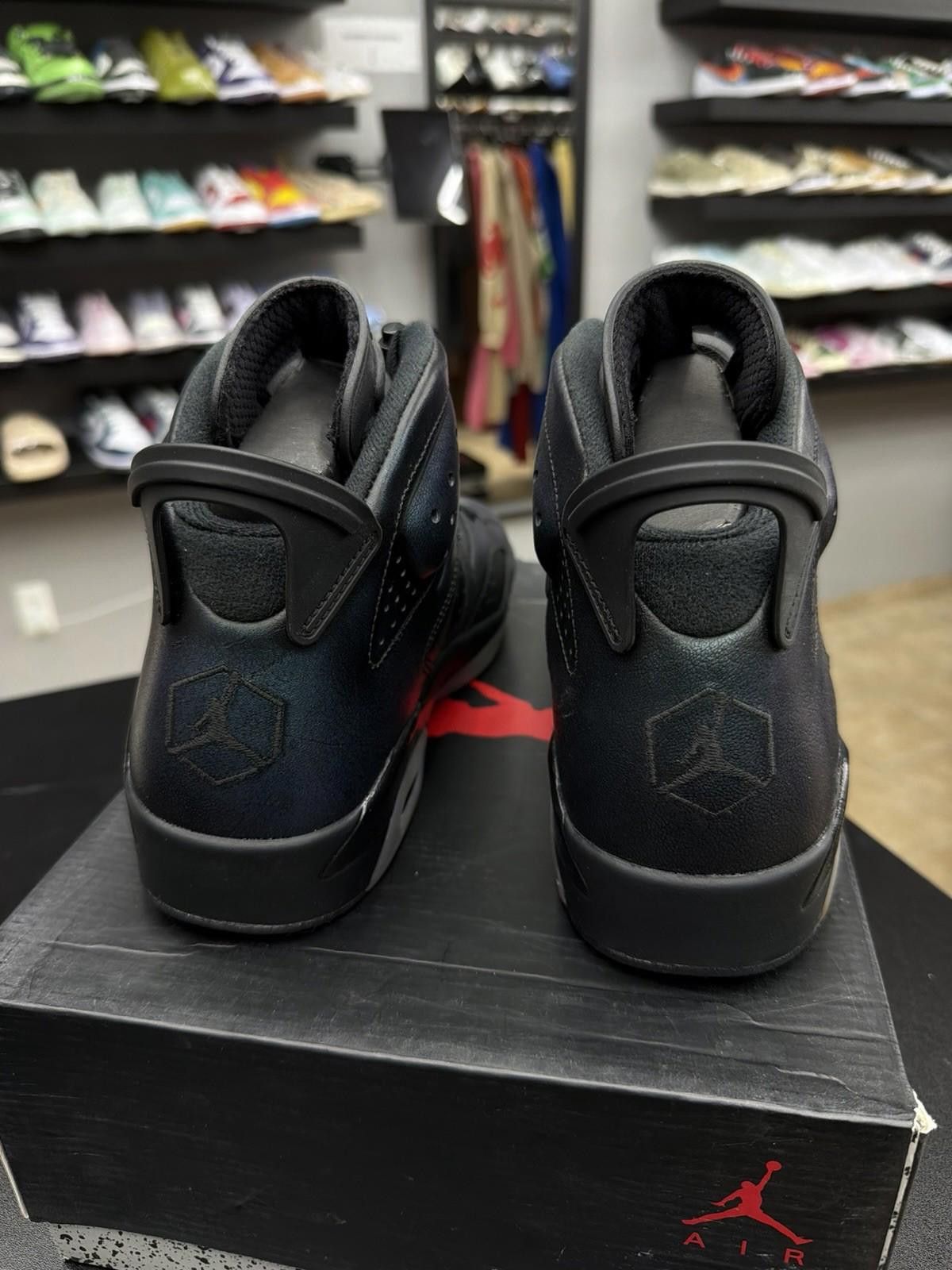 Jordan Brand Nike Air Jordan 6 All Star-Chameleon, Size 10 Brand New Size US 10 / EU 43 - 10 Thumbnail