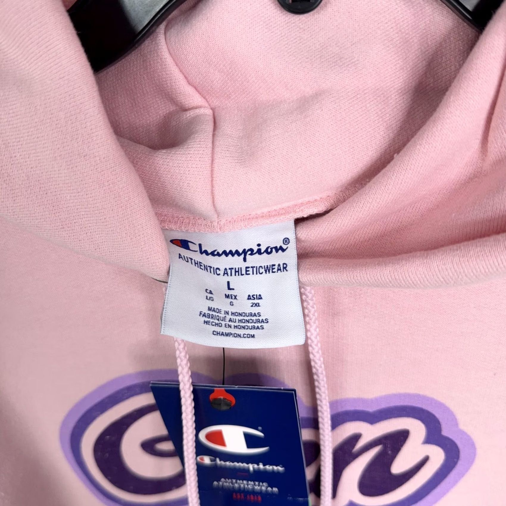 Champion Champion Hoodie Adult Large Pink Pullover Fleece Sweatshirt Glen Arbor Graphic Mens Size US L / EU 52-54 / 3 - 4 Thumbnail
