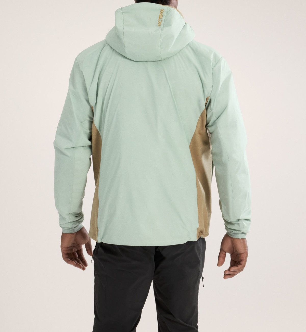 Arc'teryx Arc’teryx Atom Hoody Jacket Color Trail Magic Size US L / EU 52-54 / 3 - 2 Thumbnail