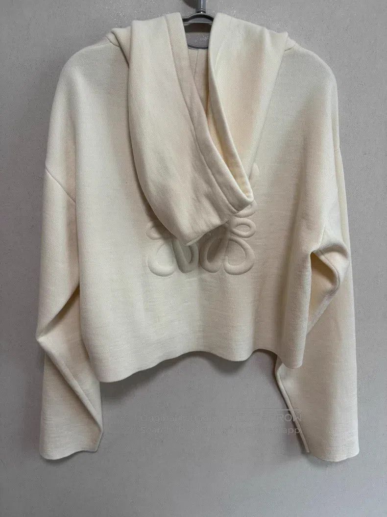 Loewe Loewe Hooded Cardigan Jacket, Beige, 95% Wool Blend Size M / US 6-8 / IT 42-44 - 2 Thumbnail