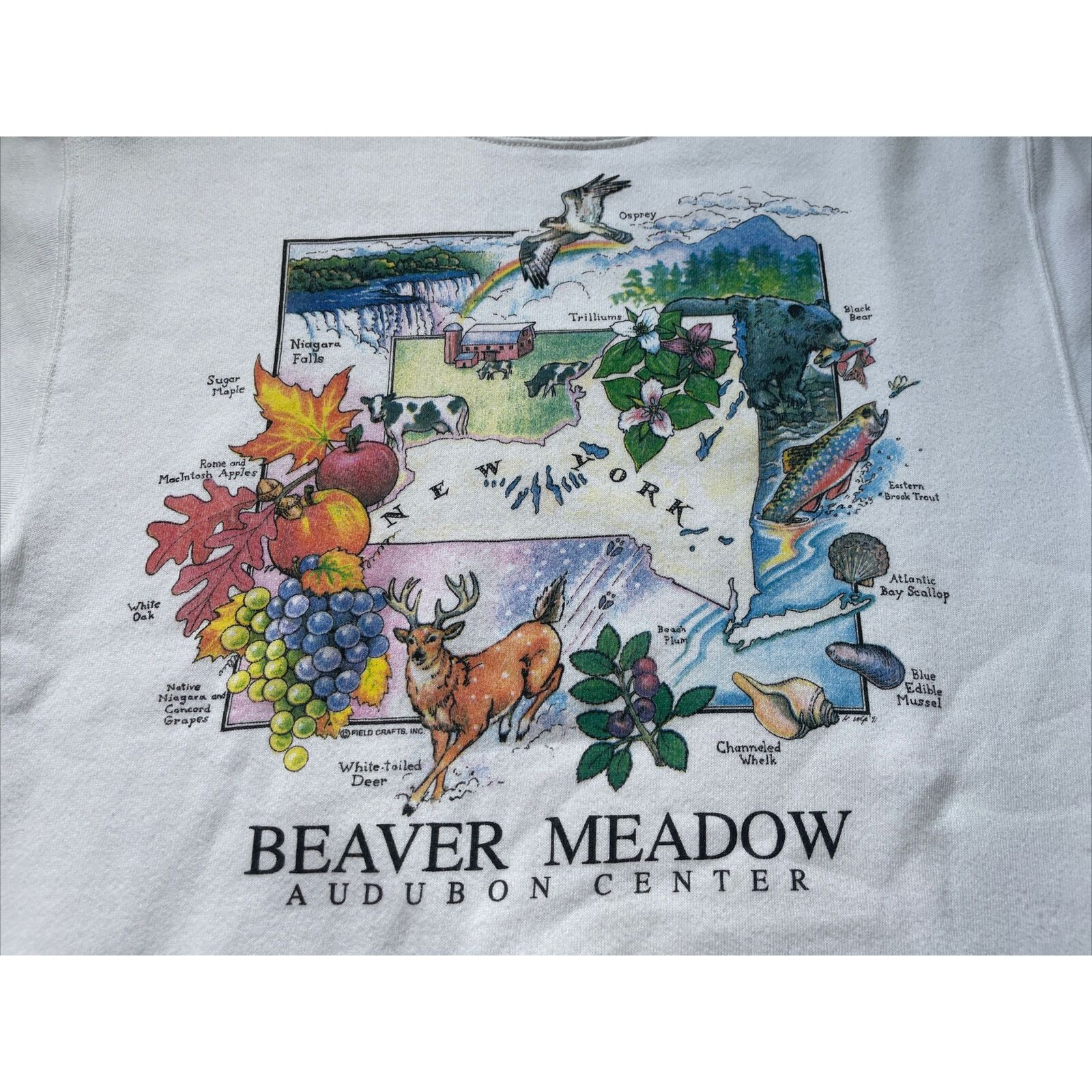 Jerzees Vintage 80s Small Beaver Meadow New York State Park Crewneck Size US S / EU 44-46 / 1 - 4 Thumbnail