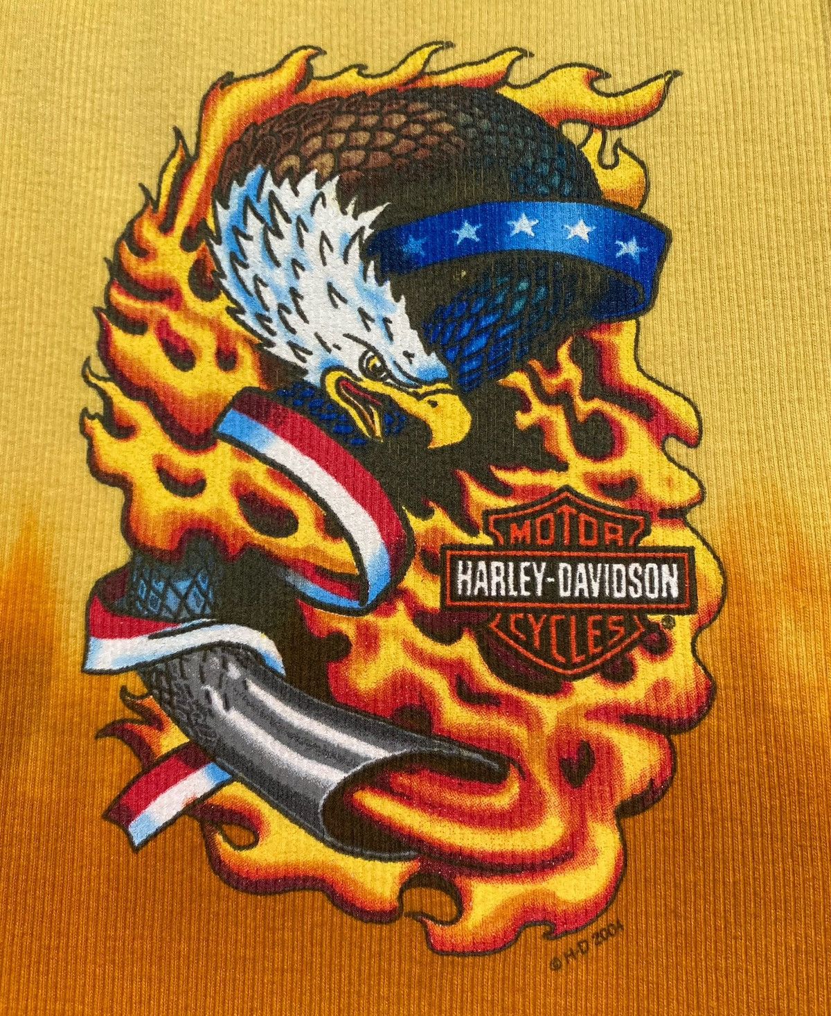 Harley Davidson 2004 Harley Davidson Eagle Flames Ombré Tank Top Small Size S / US 4 / IT 40 - 2 Thumbnail
