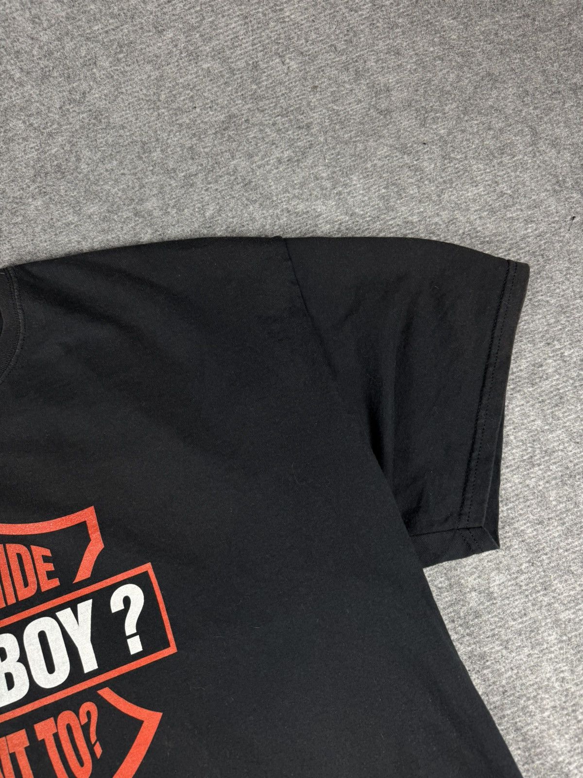 Gildan Ever Ride A Fatboy Want To Tshirt printed y2k funny meme Size US XXL / EU 58 / 5 - 5 Thumbnail