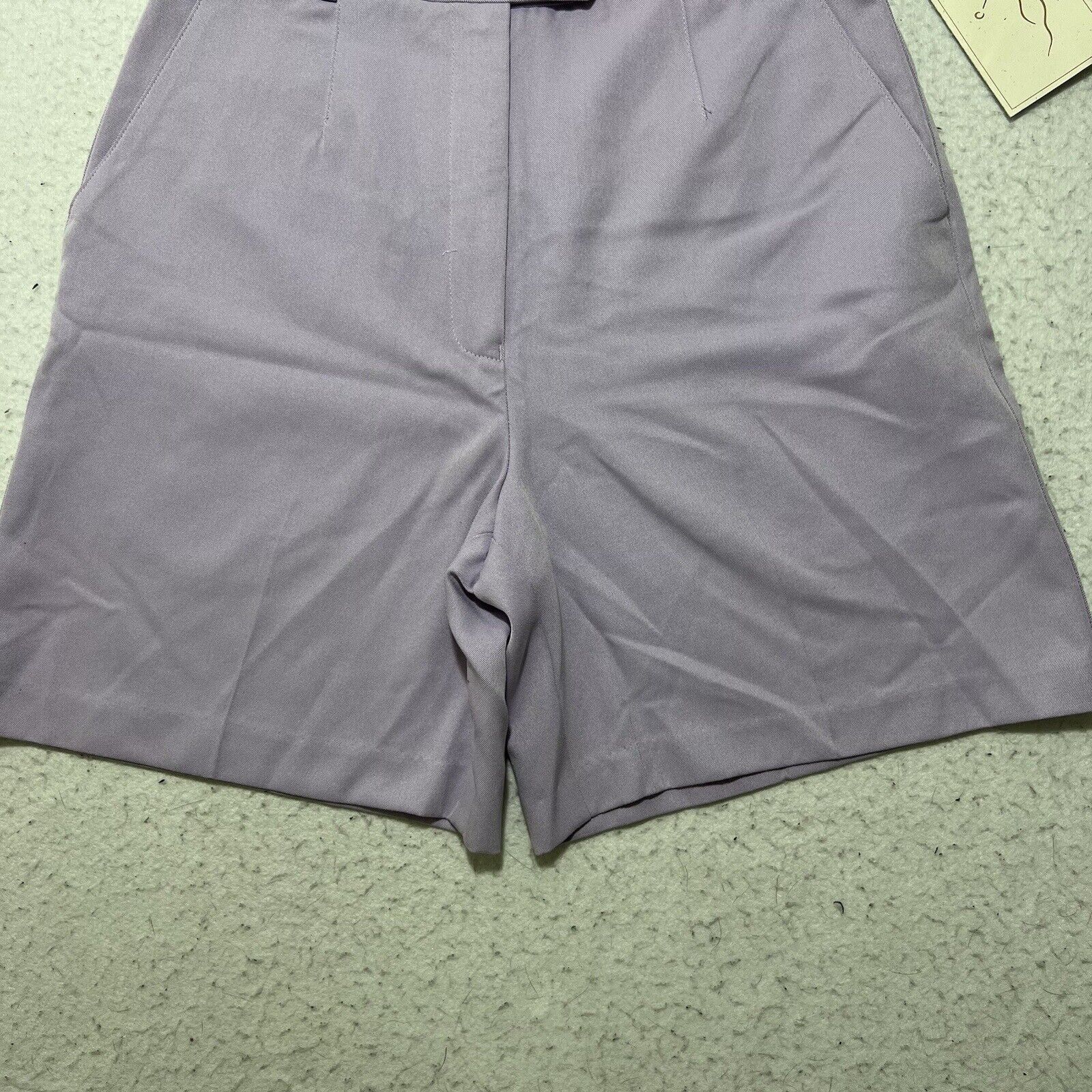 Other Vintage EP Pro 6 Purple 6" Inseam High Waist Golf Shorts Size 28" / US 6 / IT 42 - 3 Thumbnail