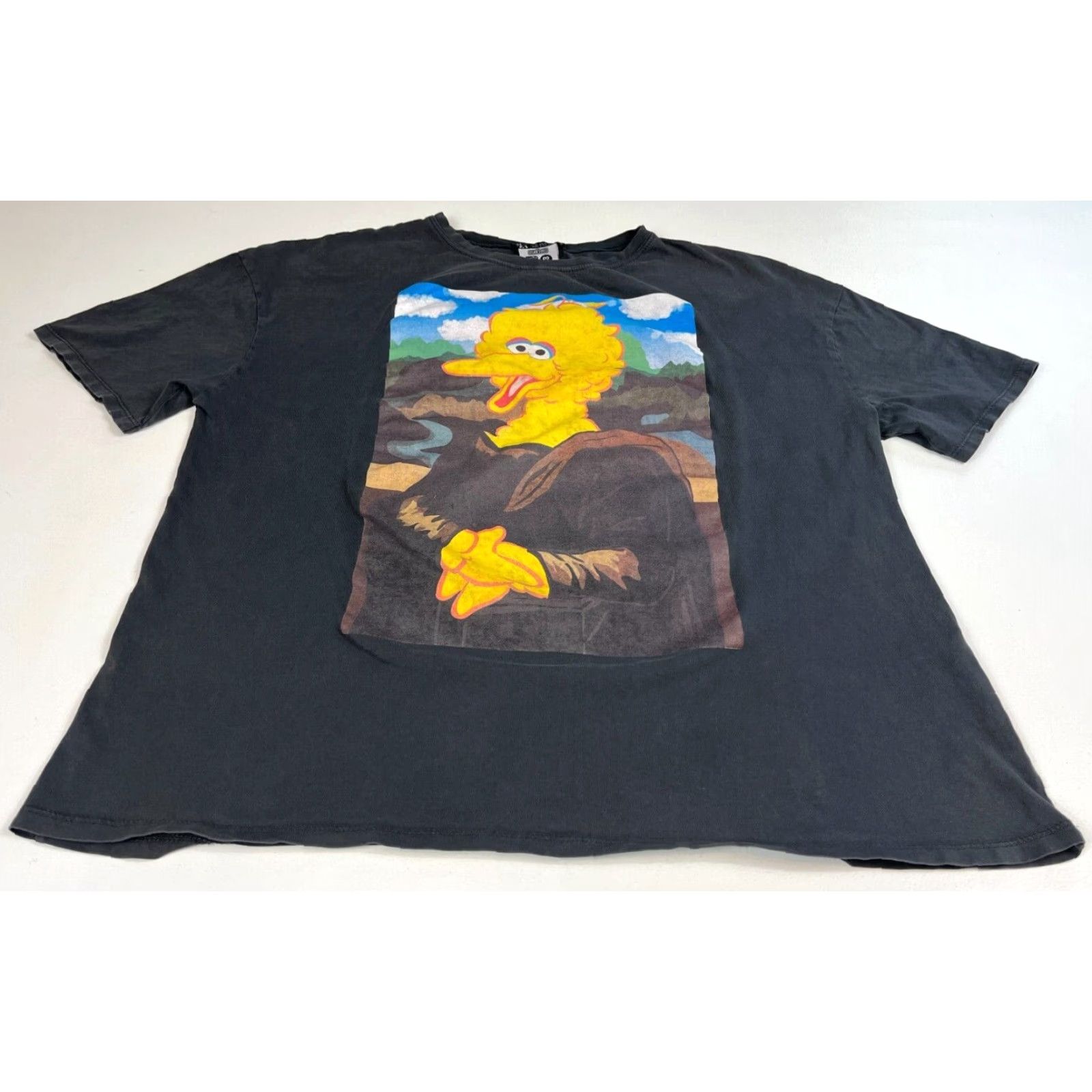Zara ZARA Sesame Street 50 Years and Counting T-shirt Sz M Women’s Shirt XS? Size M / US 6-8 / IT 42-44 - 4 Thumbnail