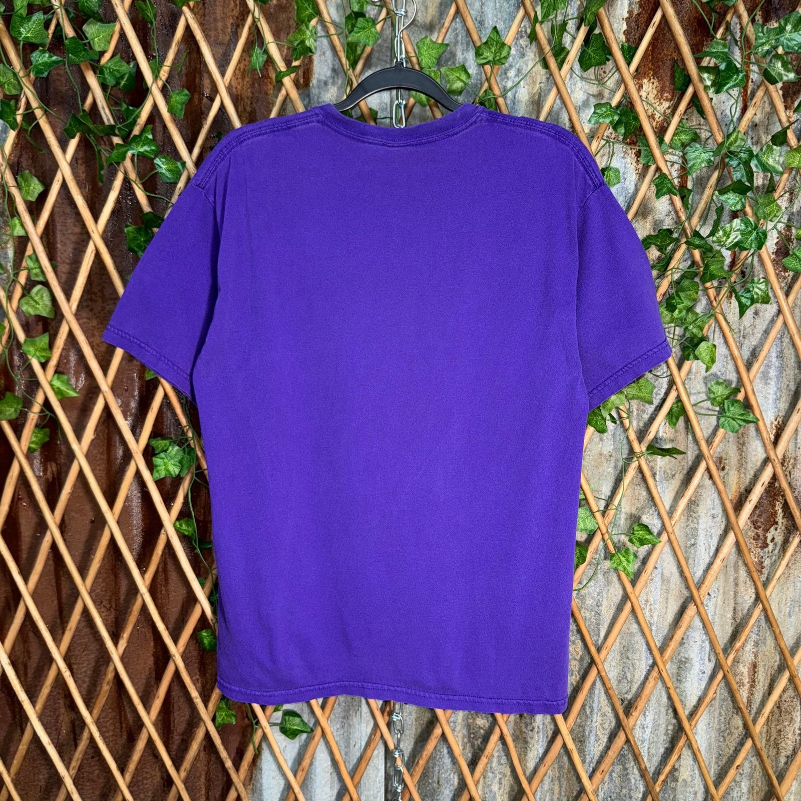 Gildan Vintage Y2K bend Oregon cozy cute hummingbird 2000s t-shirt Size US L / EU 52-54 / 3 - 2 Thumbnail