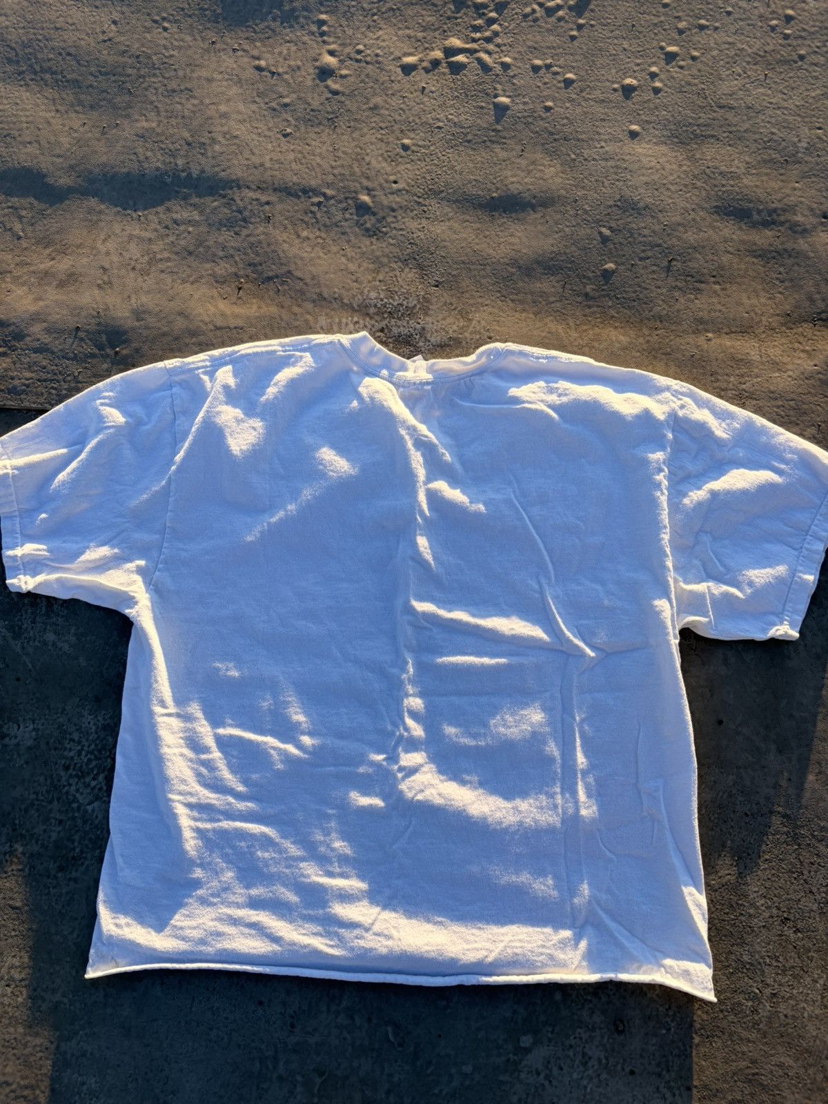 Vintage Wolf Crop Tee Size US M / EU 48-50 / 2 - 4 Thumbnail
