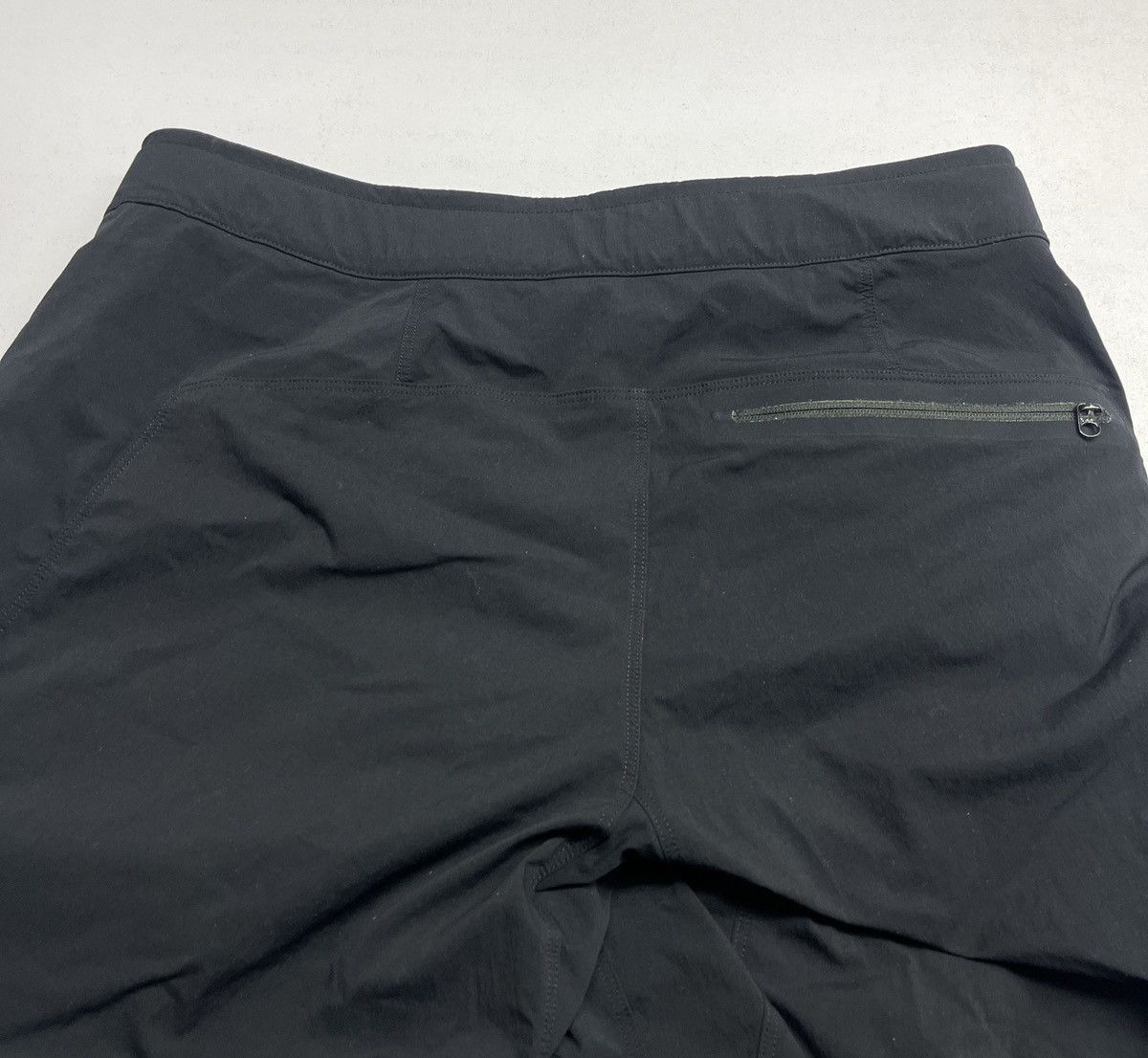 Arc'teryx Arcteryx LEVON Palisade Pant Size US 30 / EU 46 - 6 Thumbnail