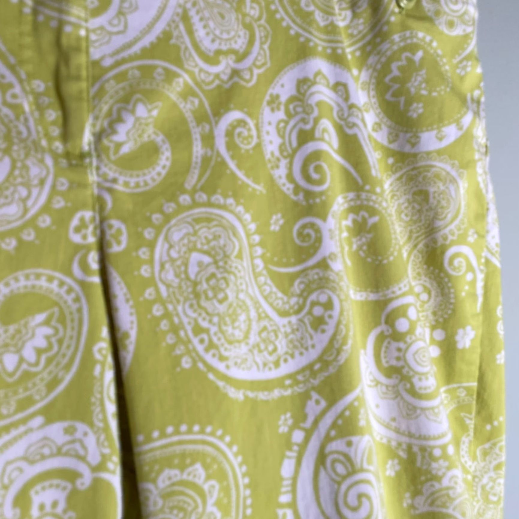 Vintage Chico's Capri Pants Large 14 Lime Green Paisley Preppy Casual Lightweight Cotton Blend Knit Summer Spring Fall Women Size 36" / US 14 / IT 50 - 2 Thumbnail