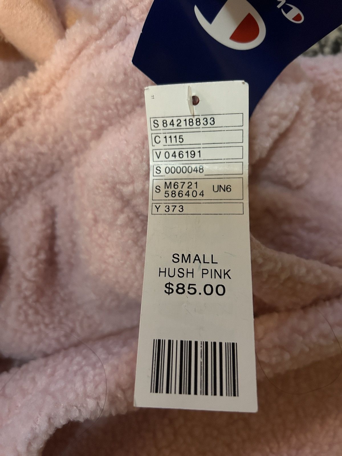 Champion Champion UO Exclusive Teddy Fleece Sweatpant size S Unisex Size US 30 / EU 46 - 3 Thumbnail
