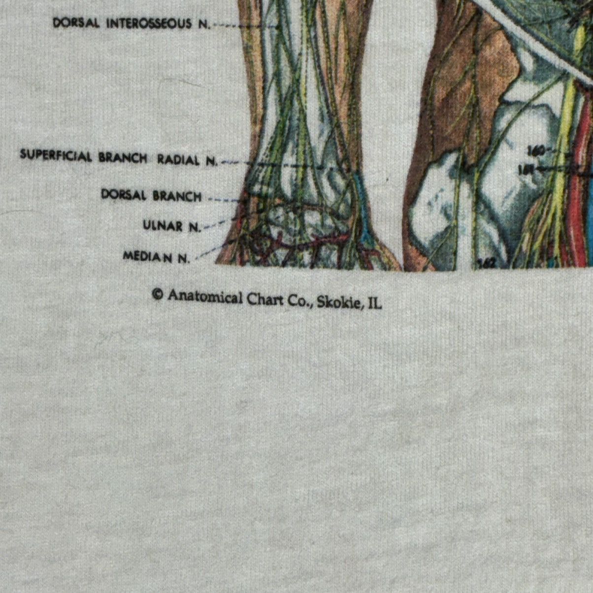 Fruit Of The Loom 90s nervous system anatomy tee Size US XL / EU 56 / 4 - 2 Thumbnail