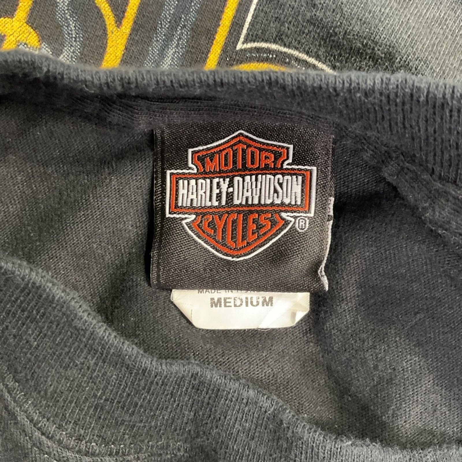 Harley Davidson Harley Davidson Temple Texas Horny Toad T-Shirt Size US M / EU 48-50 / 2 - 3 Thumbnail