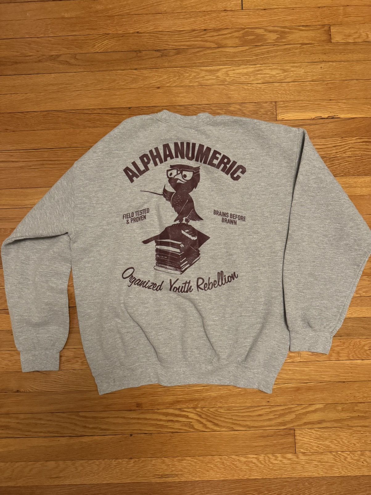 Alphanumeric Alpha Numeric Clothing “Hooter” crewneck size large Size US L / EU 52-54 / 3 - 1 Thumbnail